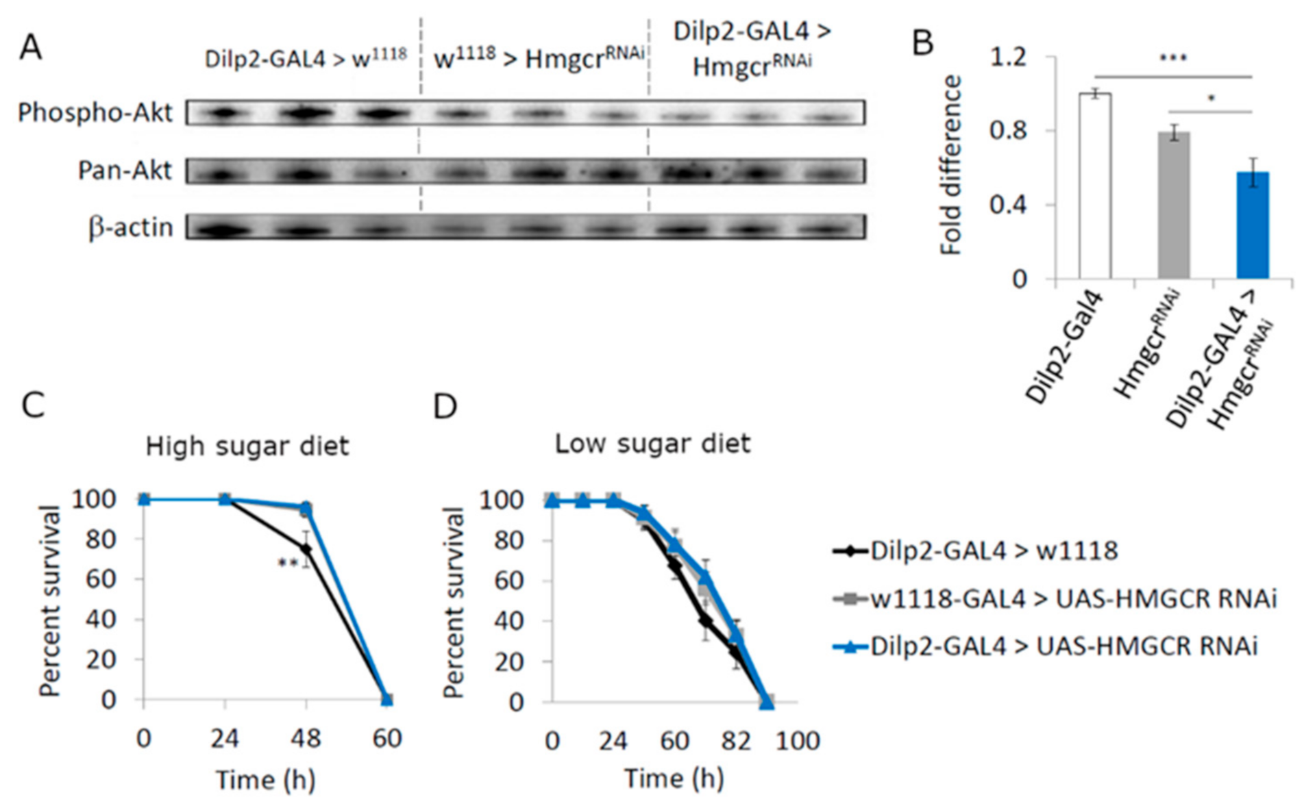 Cells 11 00970 g003 550