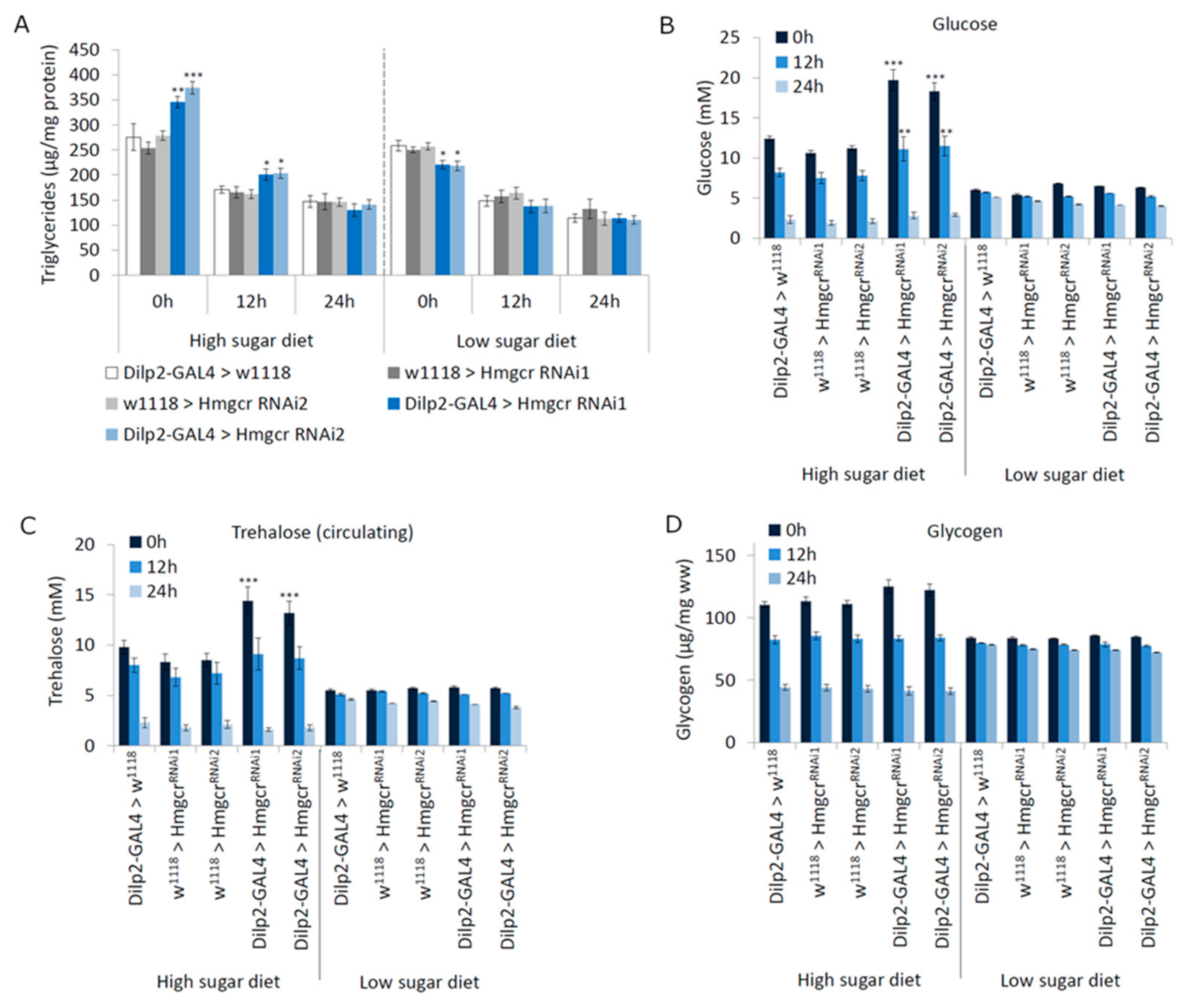 Cells 11 00970 g004 550