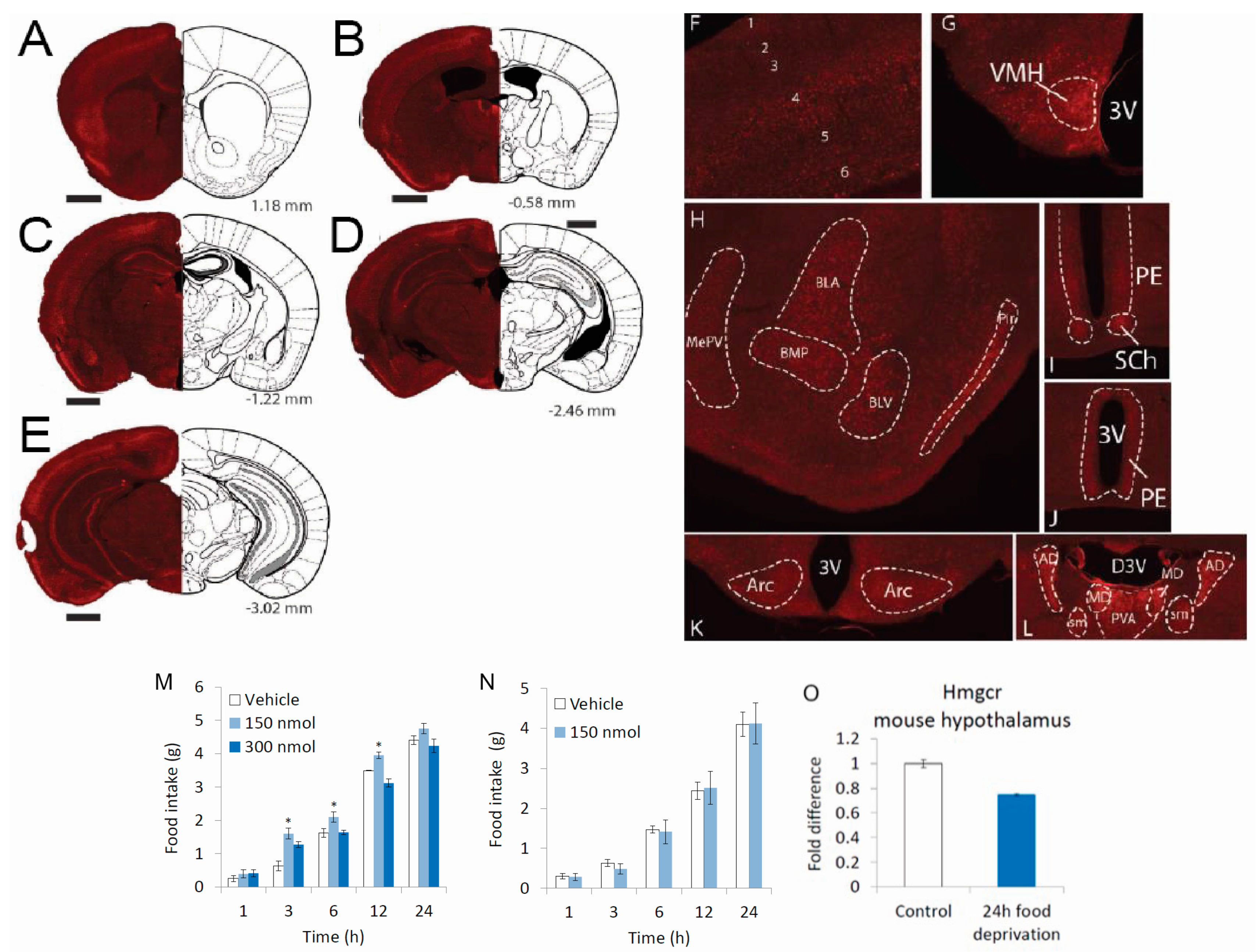 Cells 11 00970 g006 550