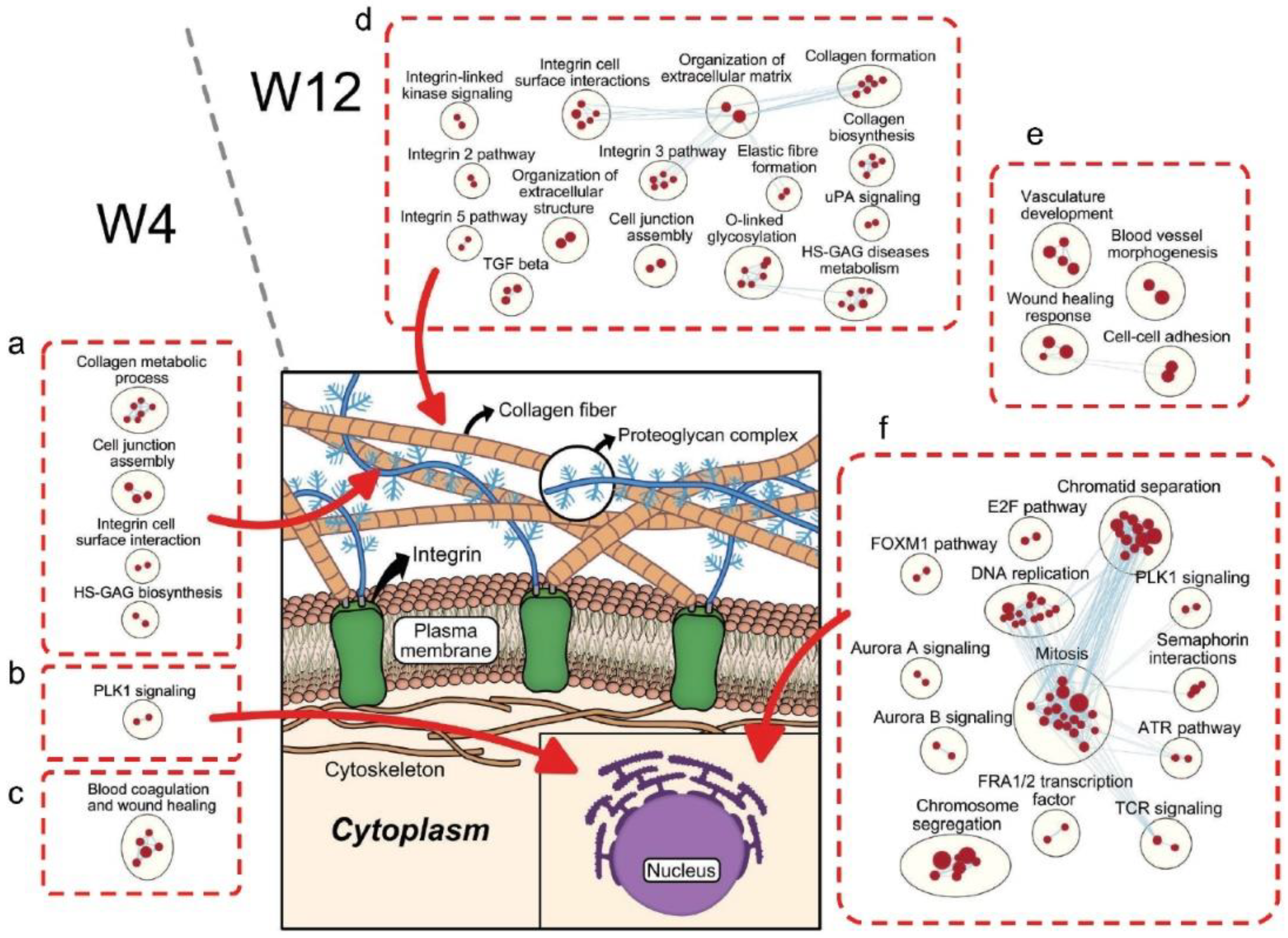 Cells 11 00975 g005 Cells 11 00975 g005