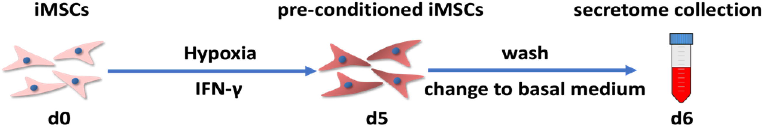 Cells 11 00988 g001 Cells 11 00988 g001