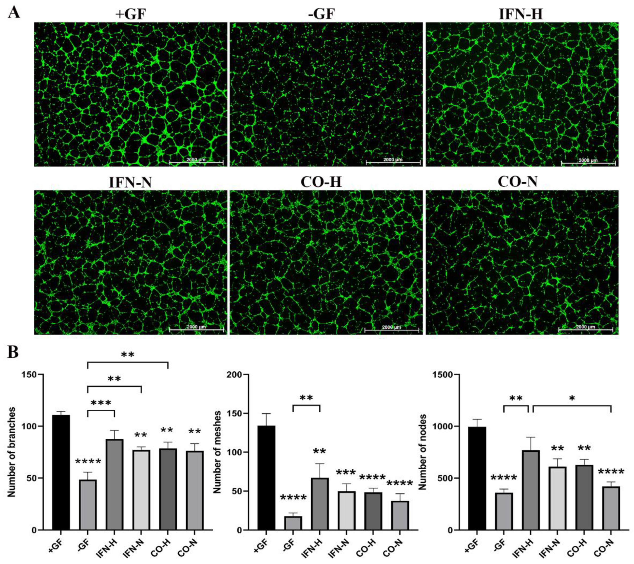 Cells 11 00988 g005 Cells 11 00988 g005