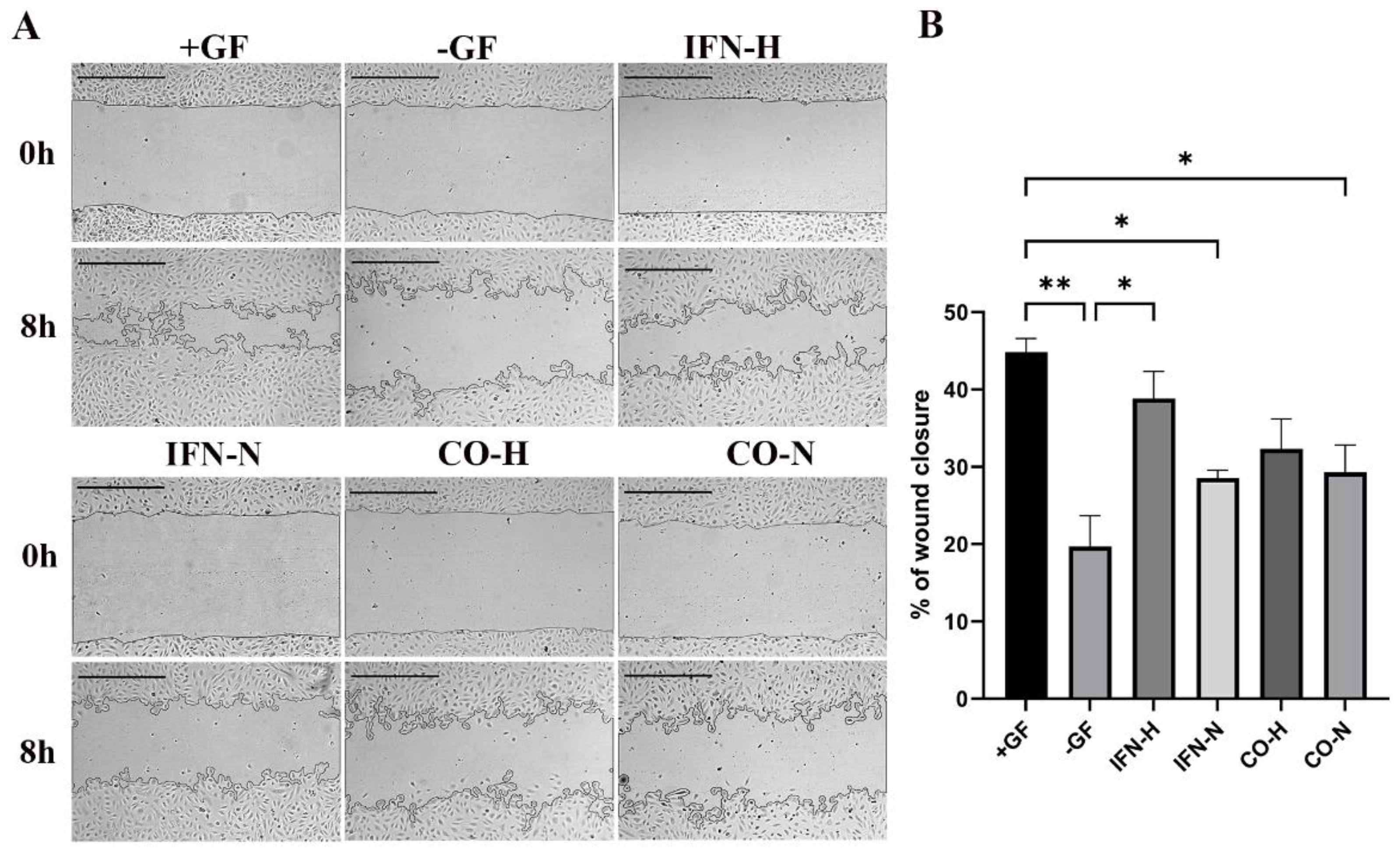 Cells 11 00988 g006 Cells 11 00988 g006