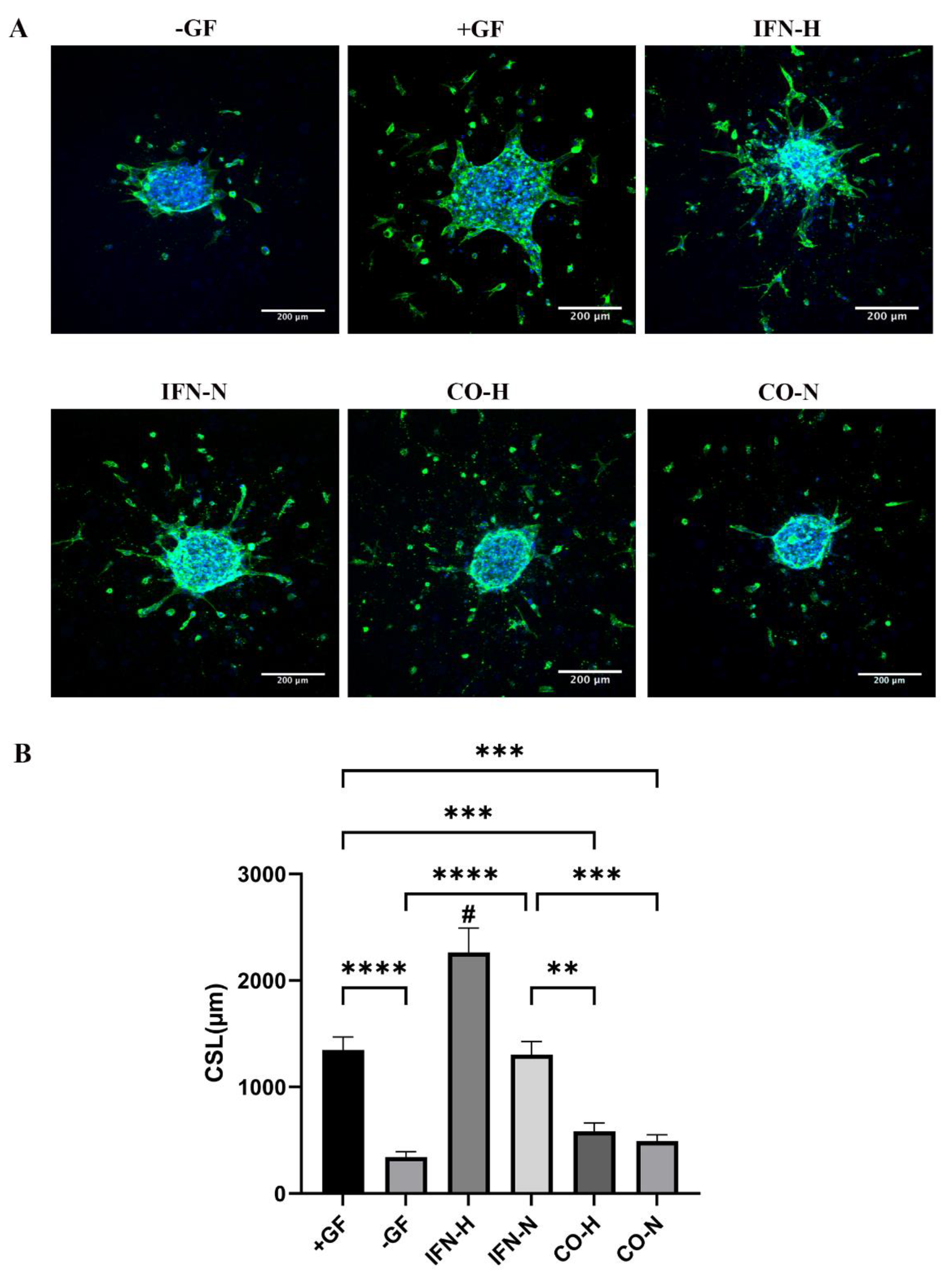 Cells 11 00988 g008 Cells 11 00988 g008