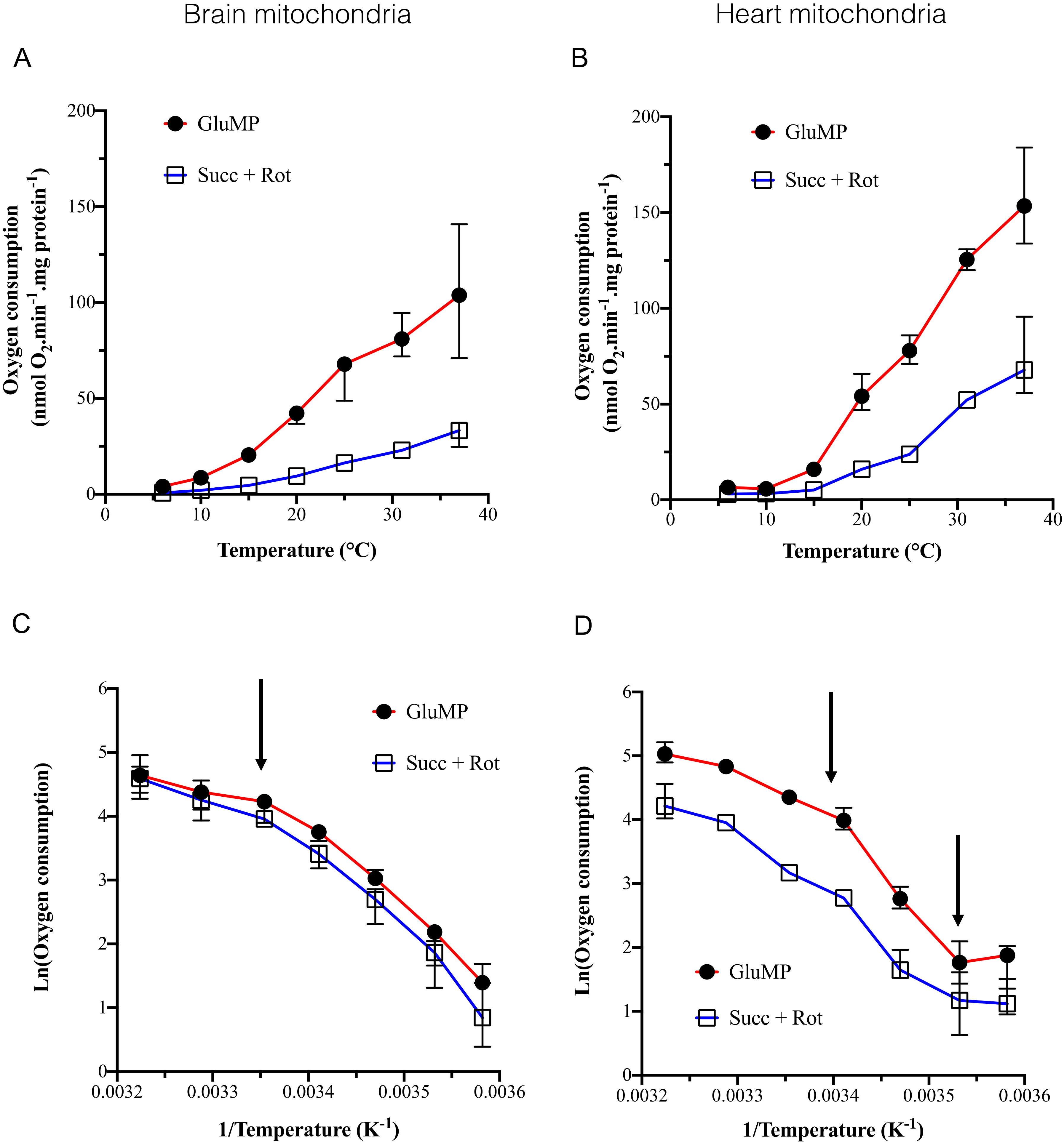 Cells 11 00989 g001 550