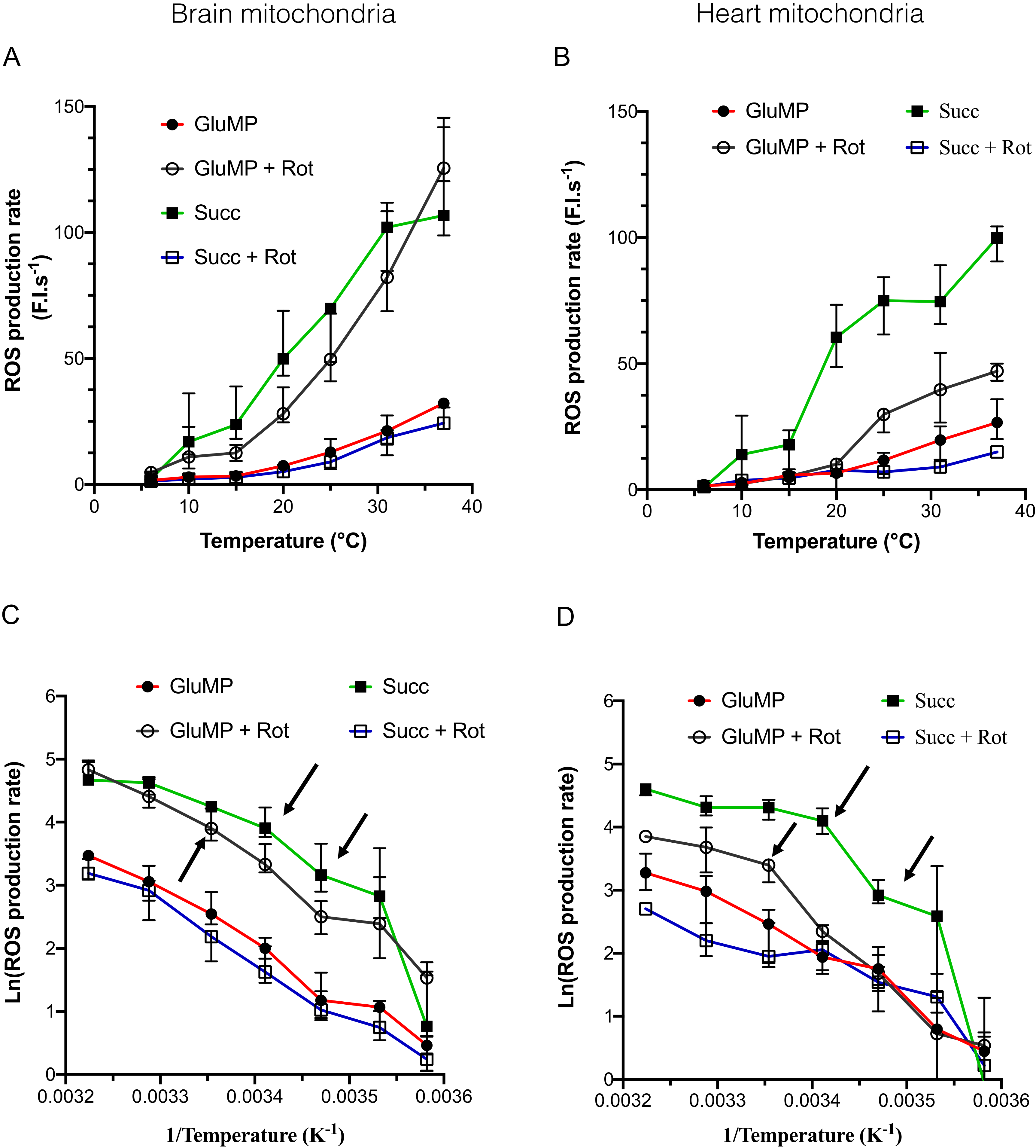 Cells 11 00989 g002 550