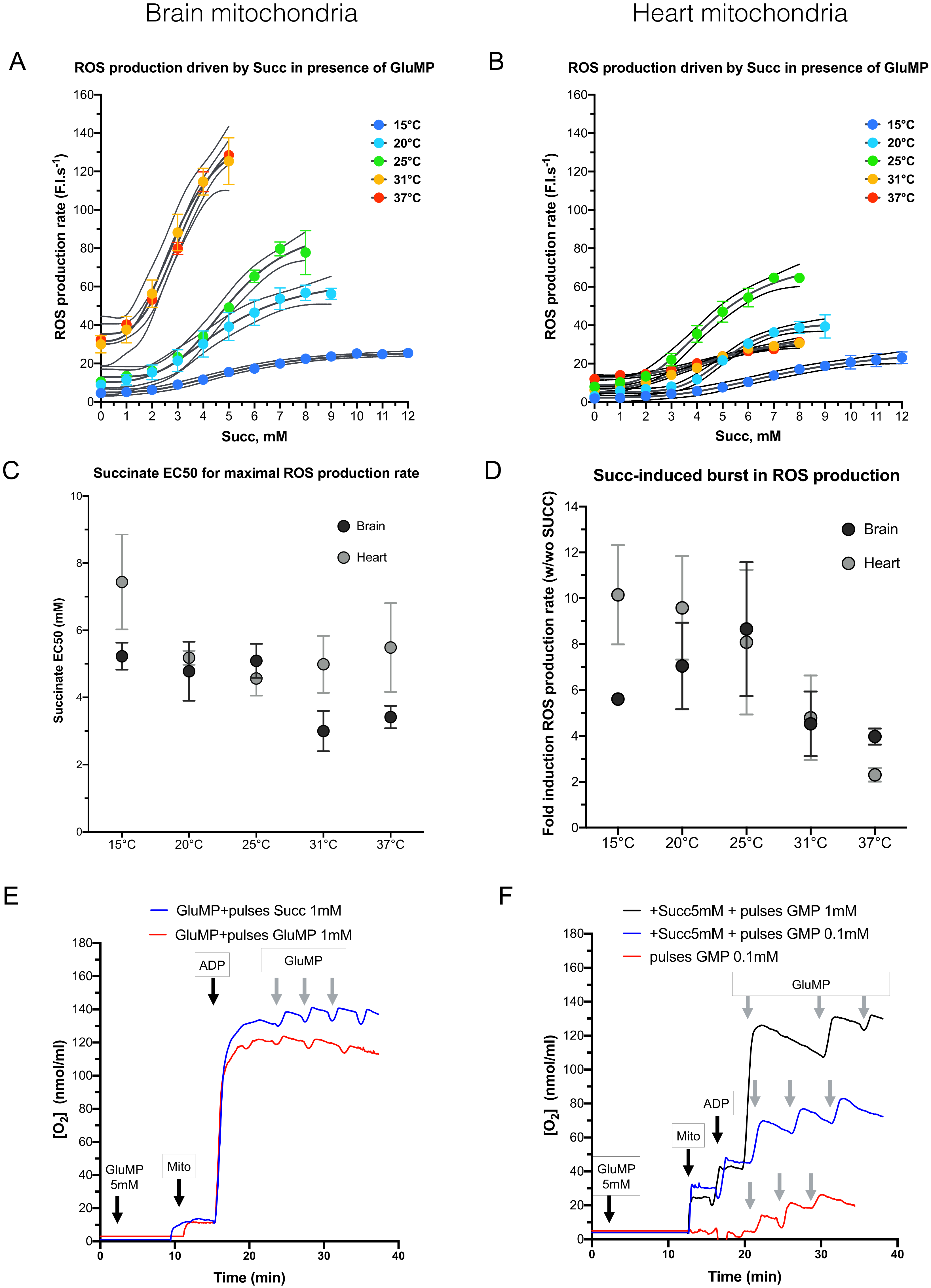 Cells 11 00989 g003 550