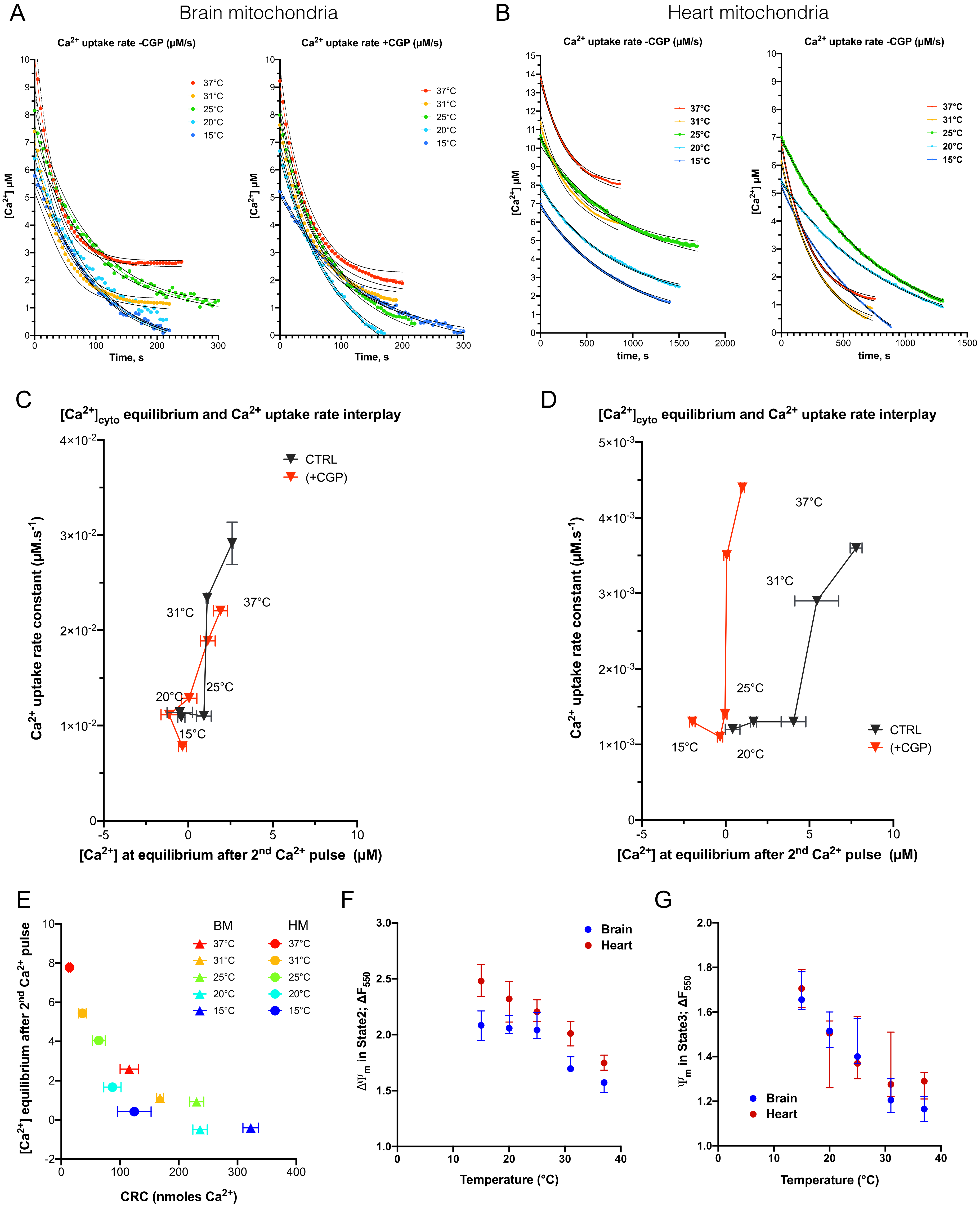 Cells 11 00989 g005 550