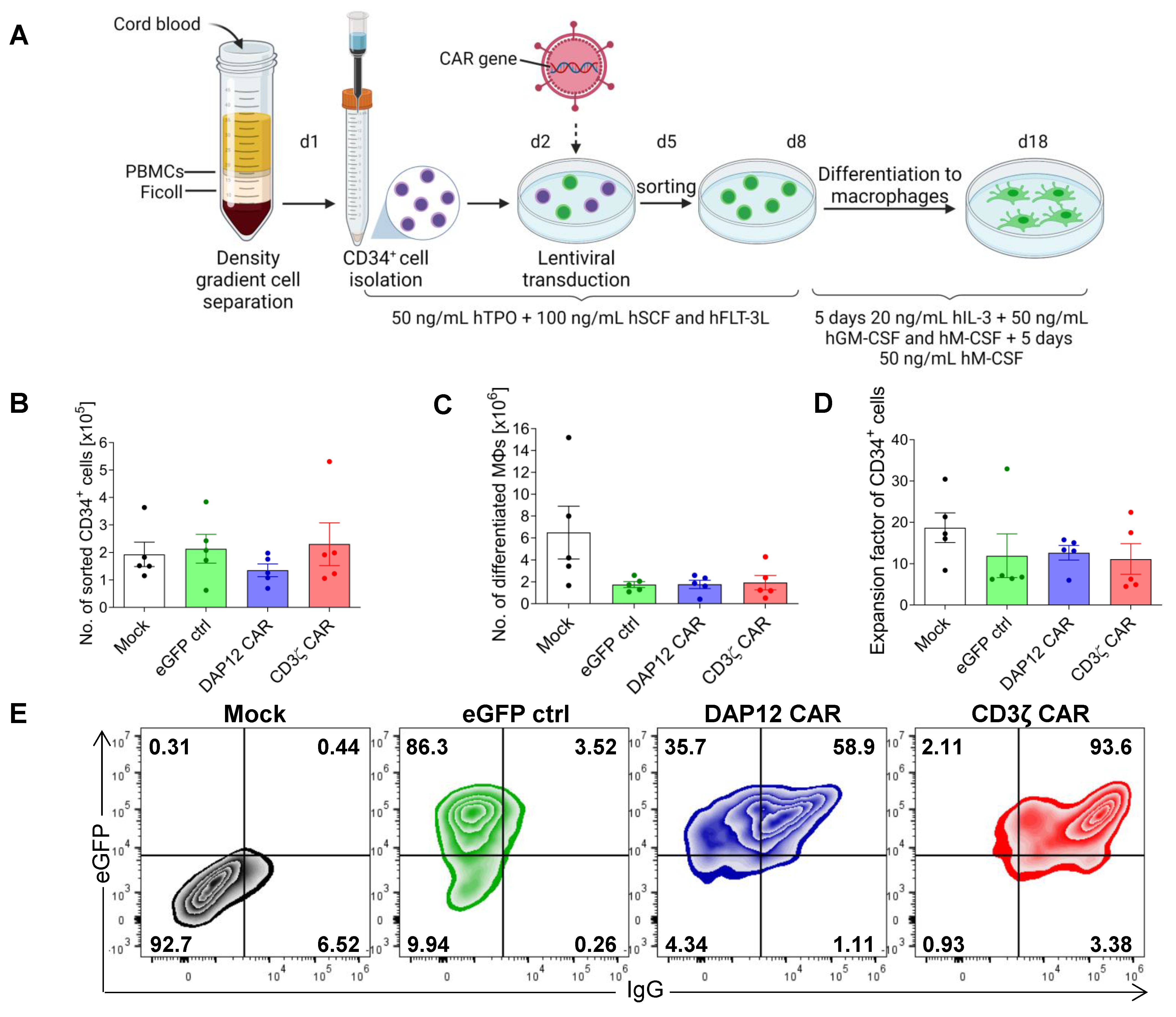 Cells 11 00994 g003a