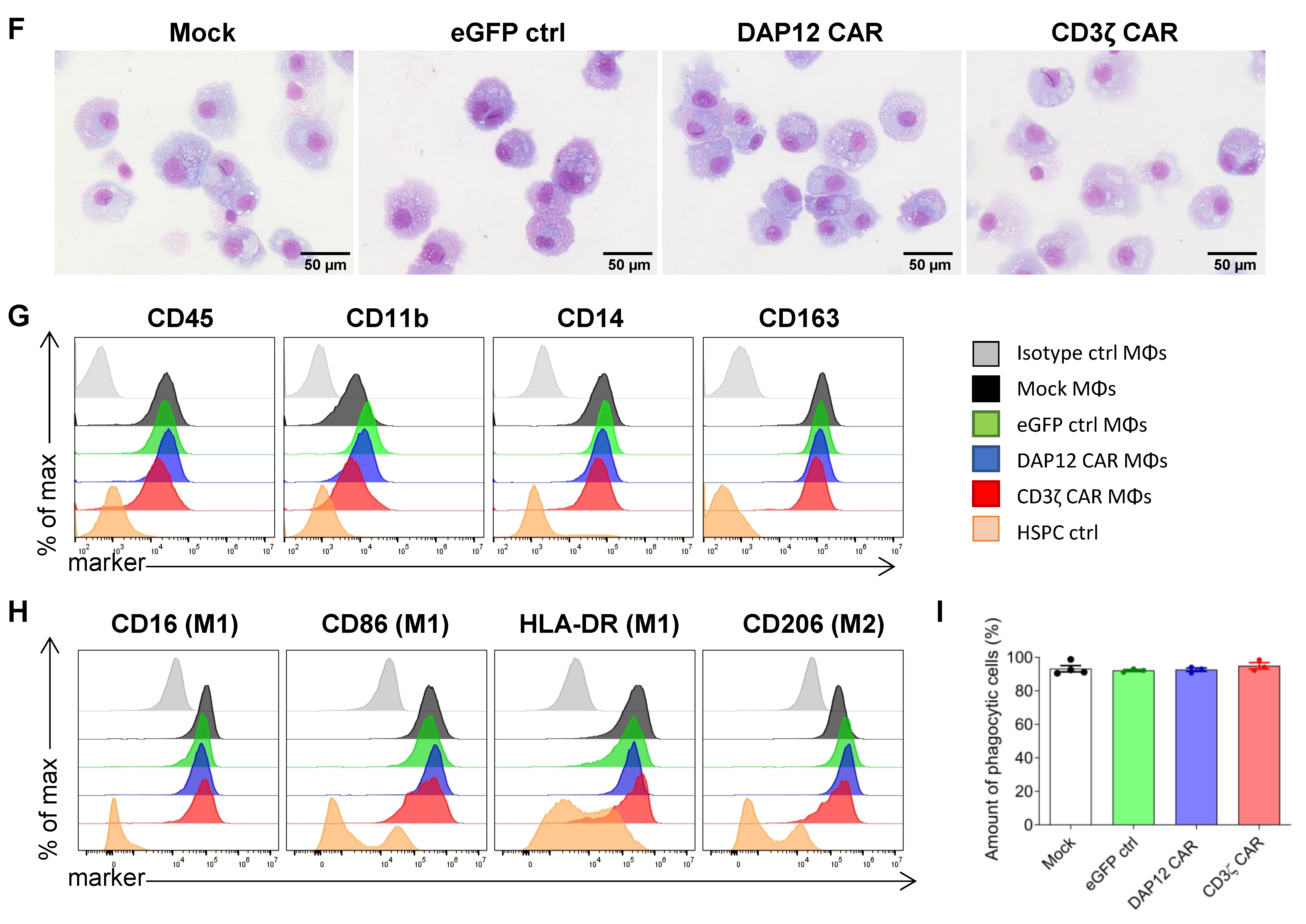 Cells 11 00994 g003b