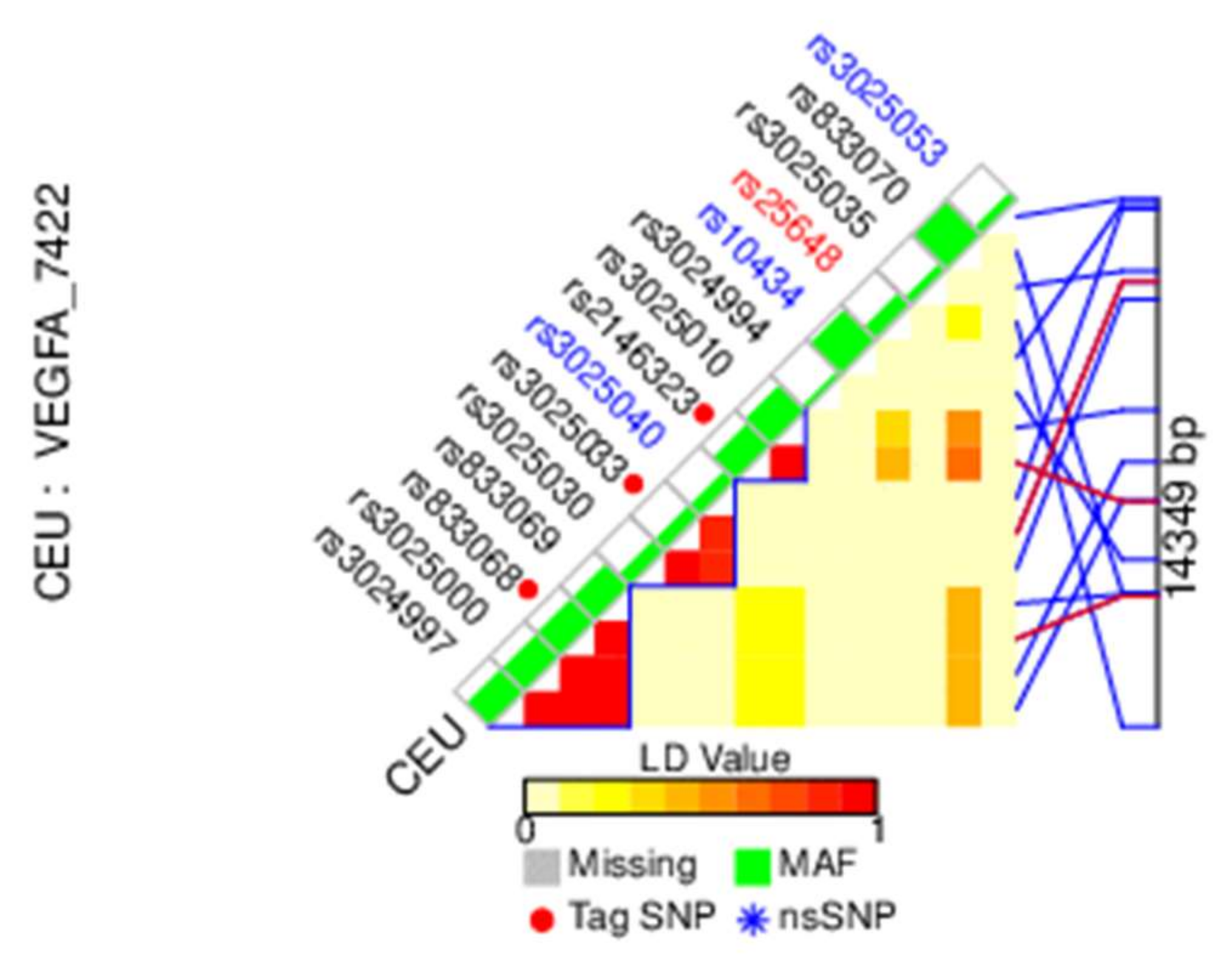 Cells 11 00996 g001 Cells 11 00996 g001