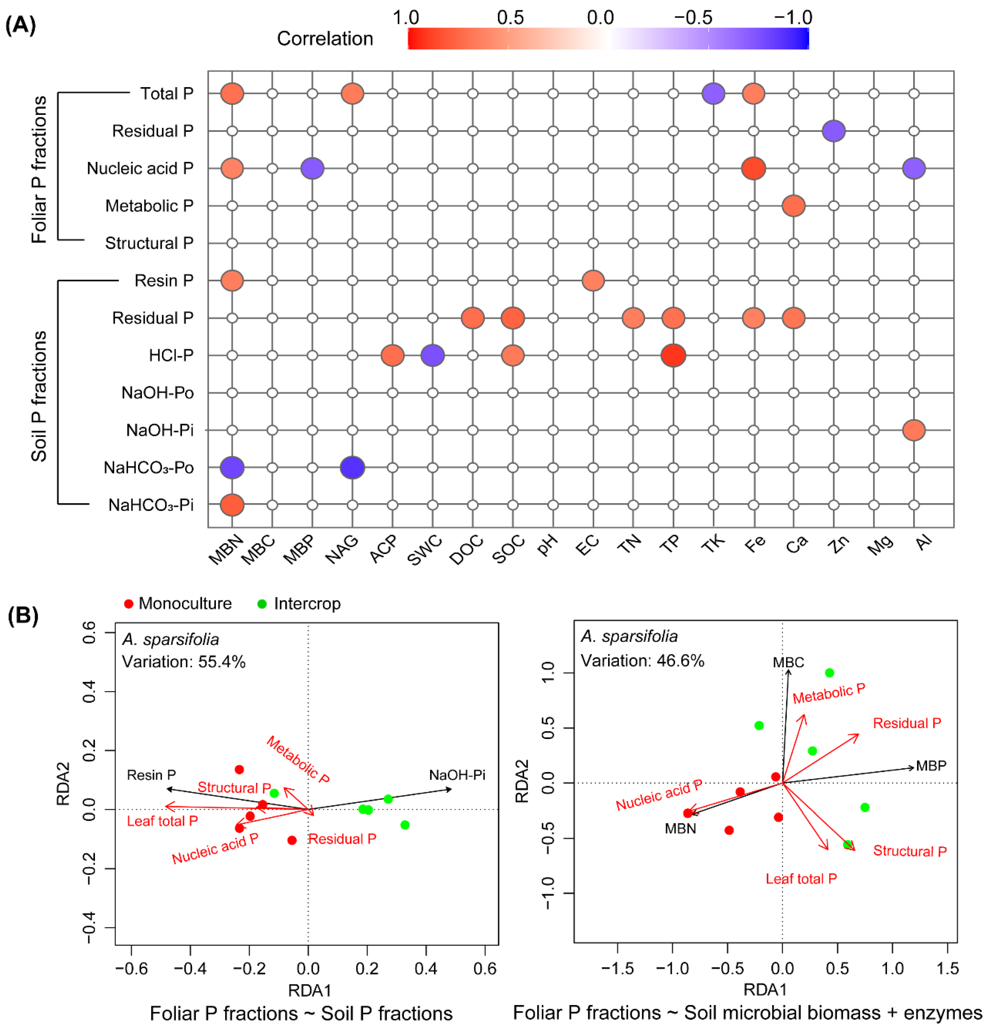 Cells 11 00998 g008 Cells 11 00998 g008