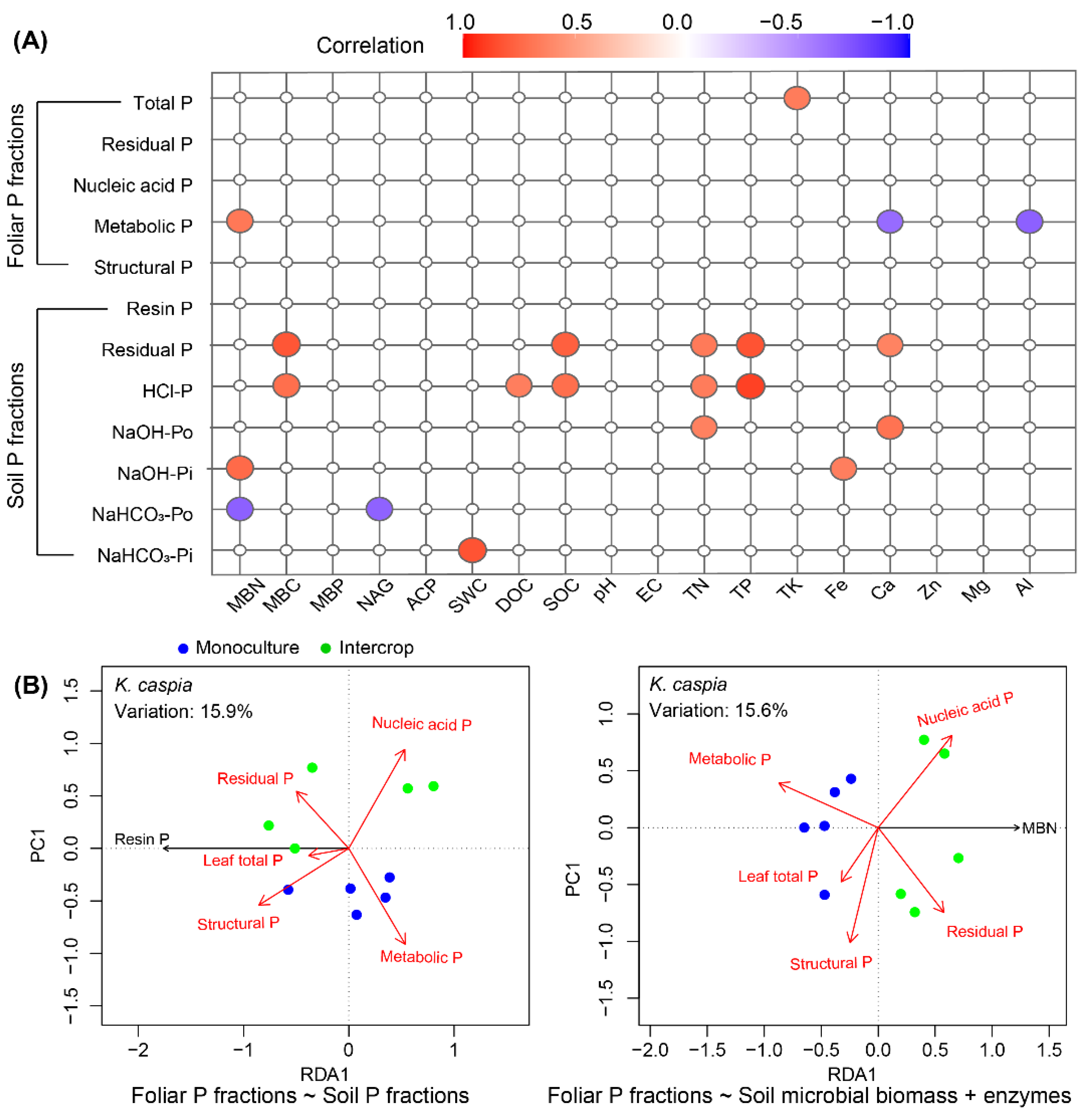 Cells 11 00998 g009 Cells 11 00998 g009