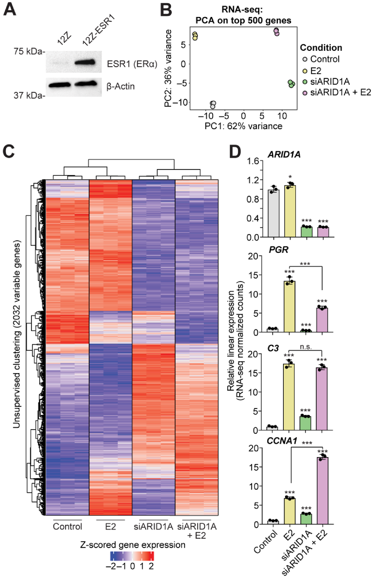 Cells 11 01000 g001 550