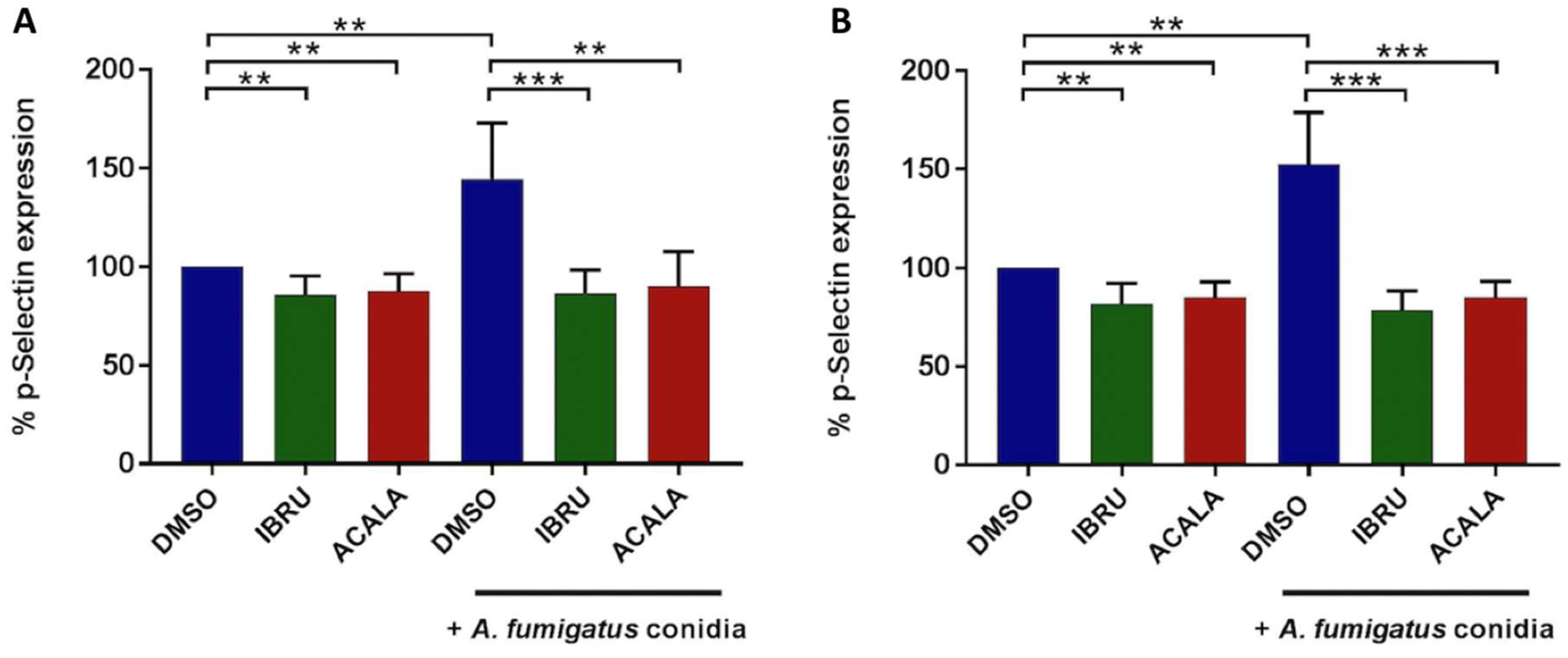 Cells 11 01003 g003 550