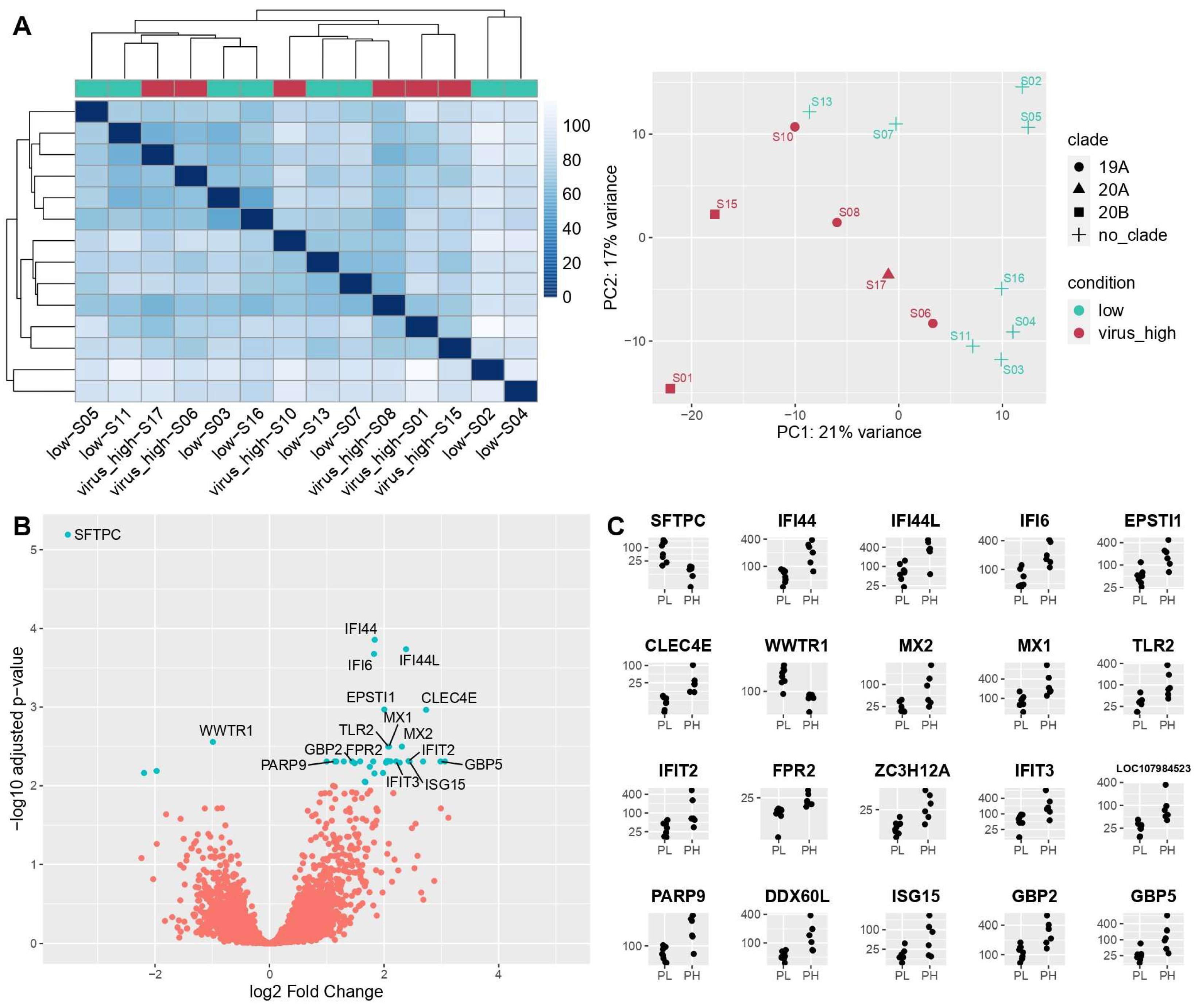 Cells 11 01011 g004 550