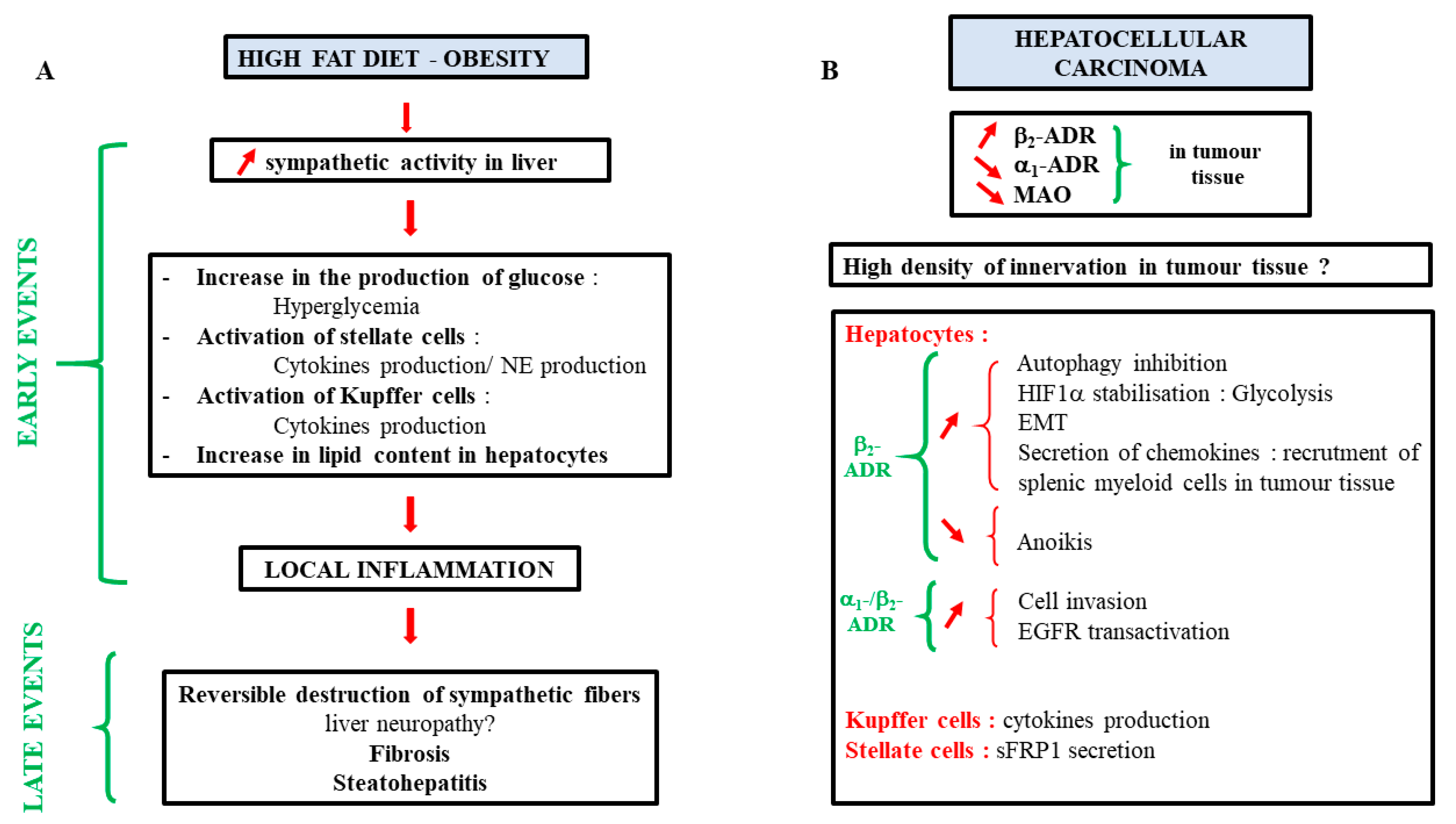 Cells 11 01021 g006 Cells 11 01021 g006