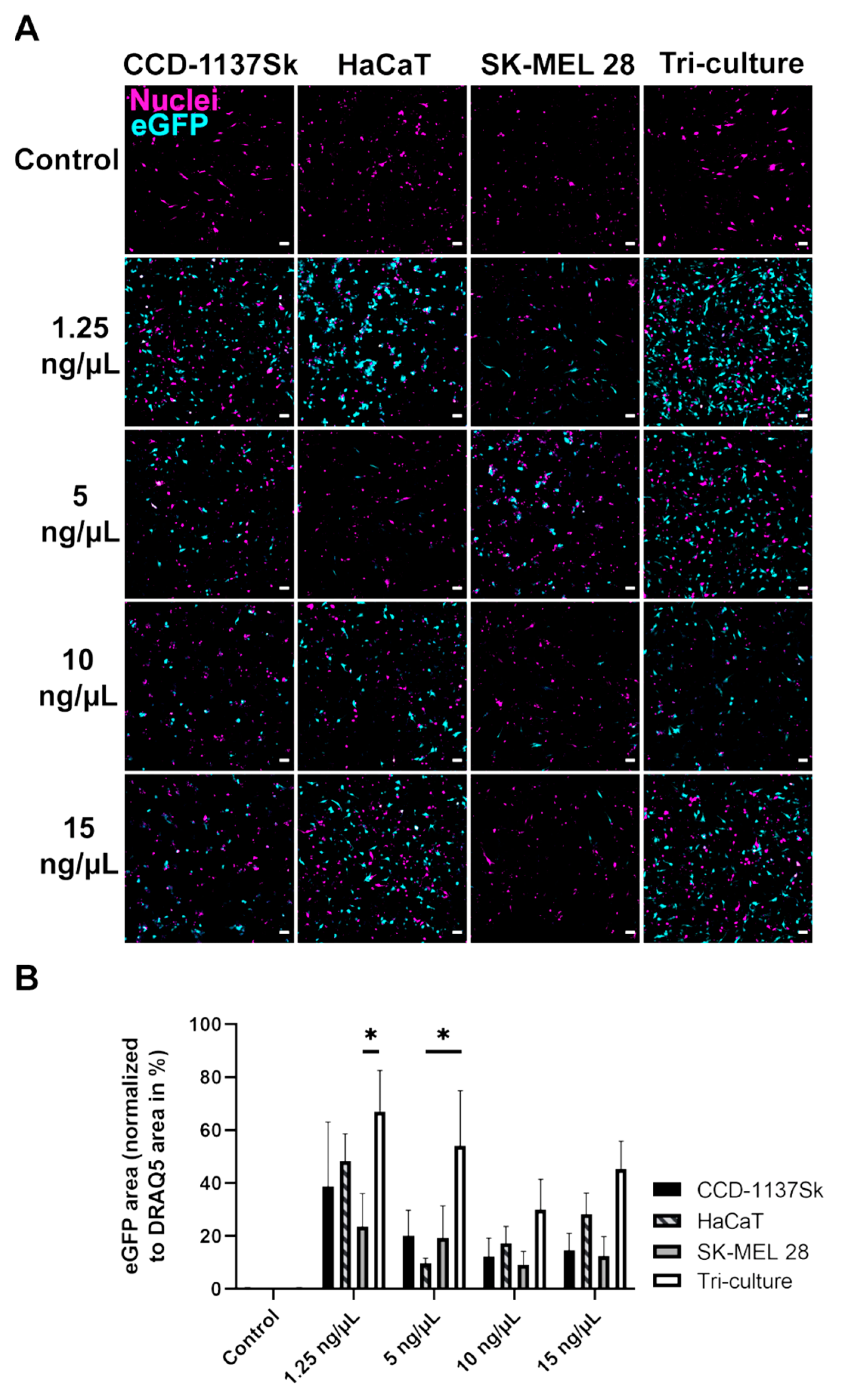 Cells 11 01026 g002 550