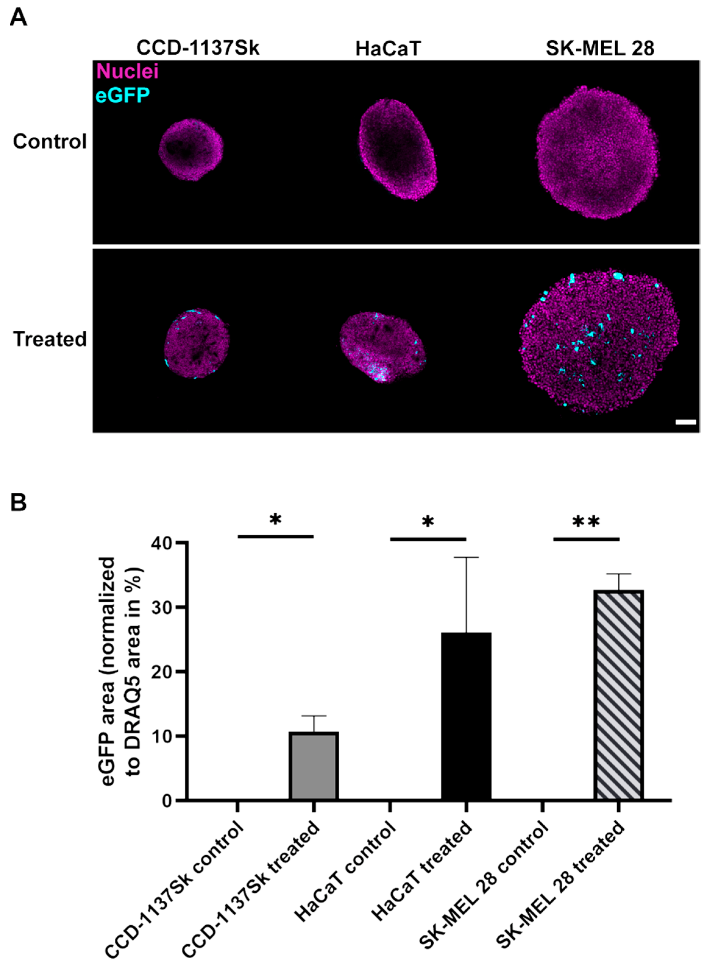 Cells 11 01026 g003 550