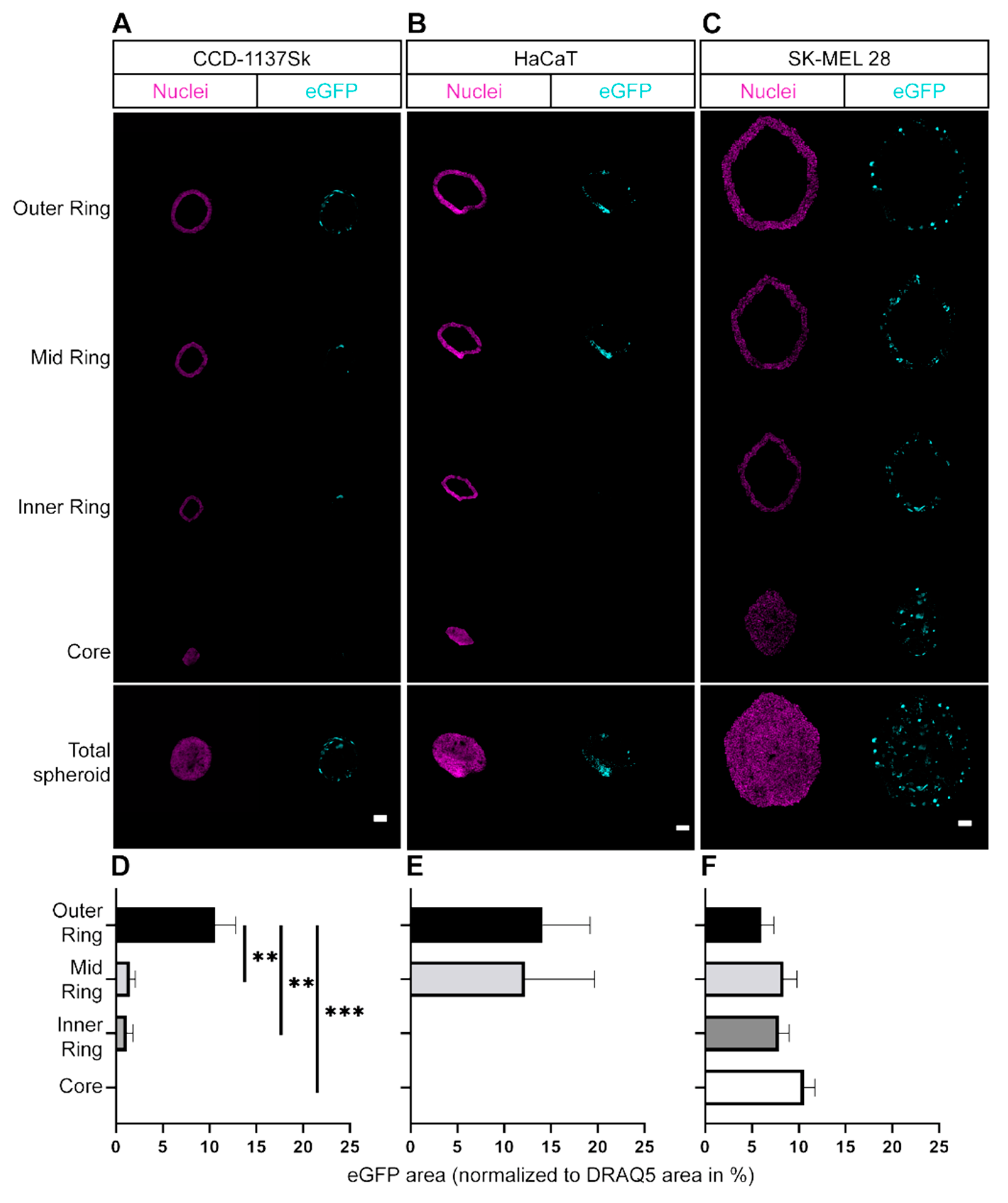 Cells 11 01026 g004 550