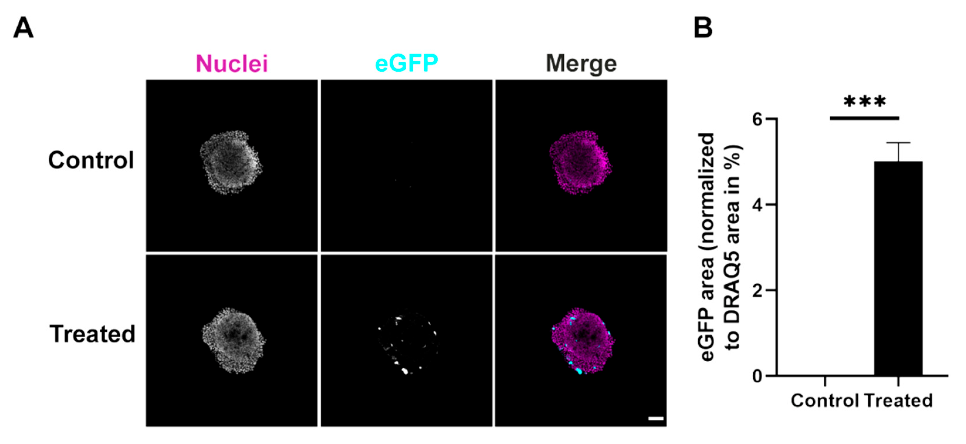 Cells 11 01026 g005 550