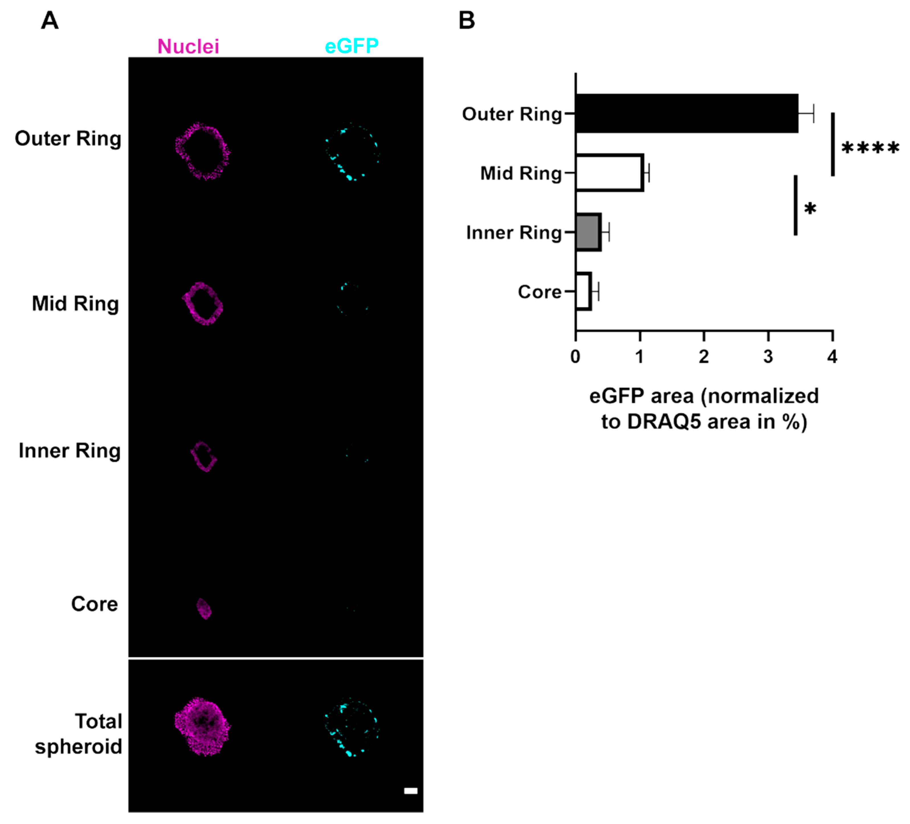 Cells 11 01026 g006 550