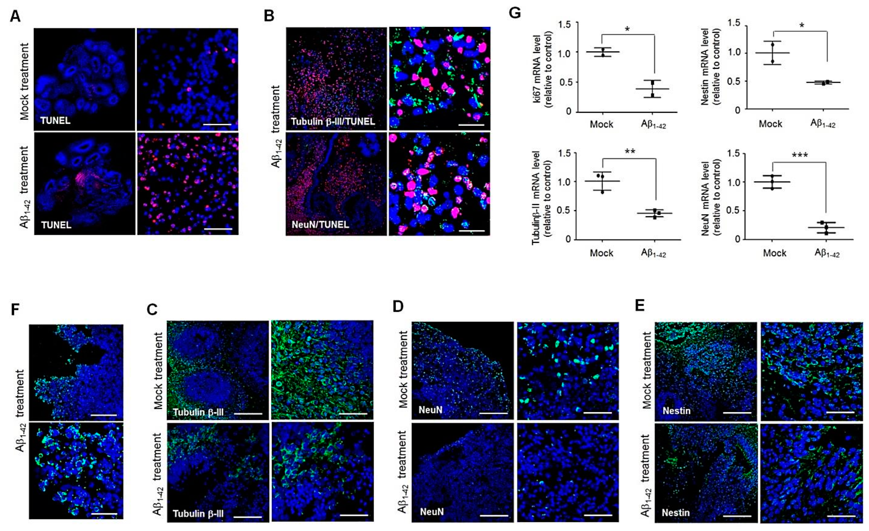 Cells 11 01029 g002 Cells 11 01029 g002