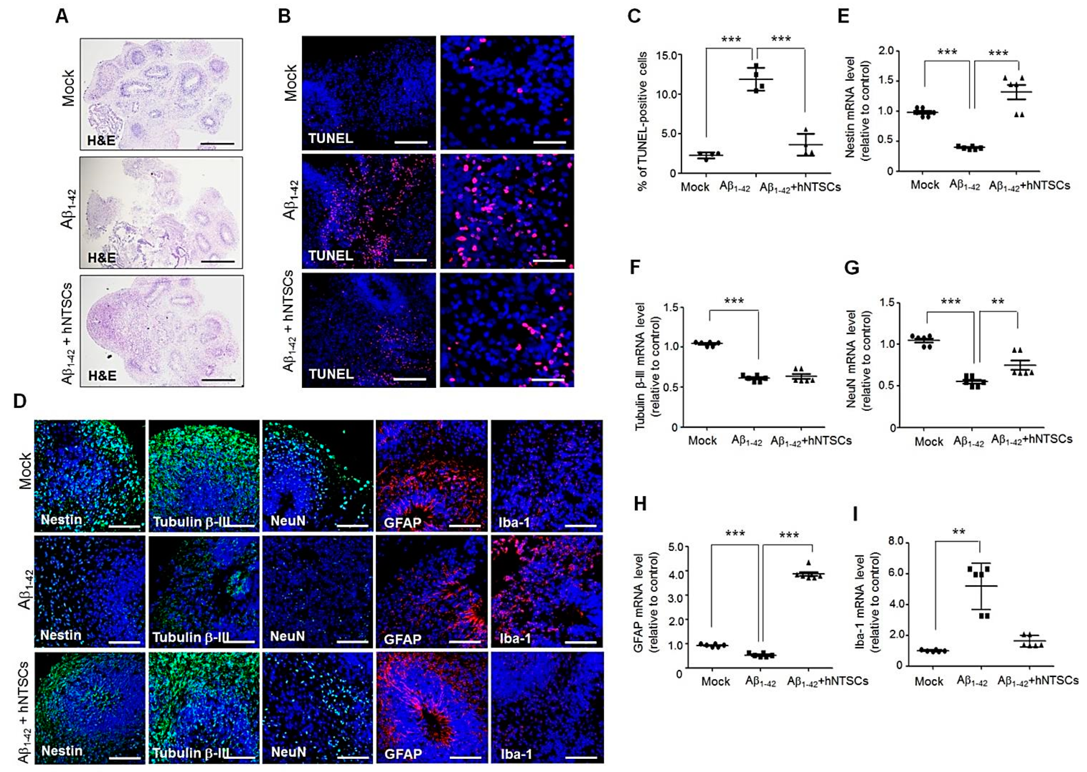 Cells 11 01029 g003 Cells 11 01029 g003