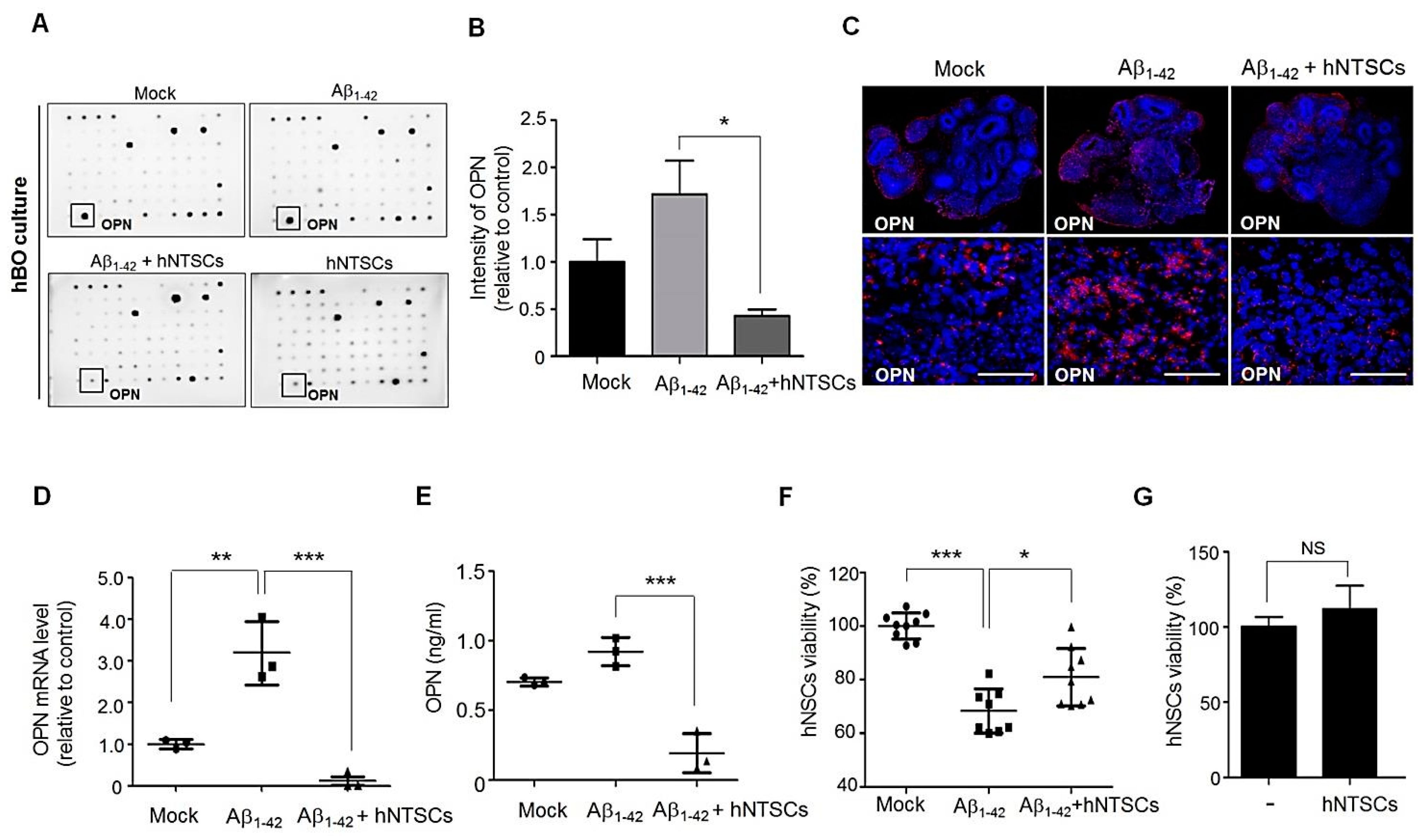 Cells 11 01029 g004 Cells 11 01029 g004