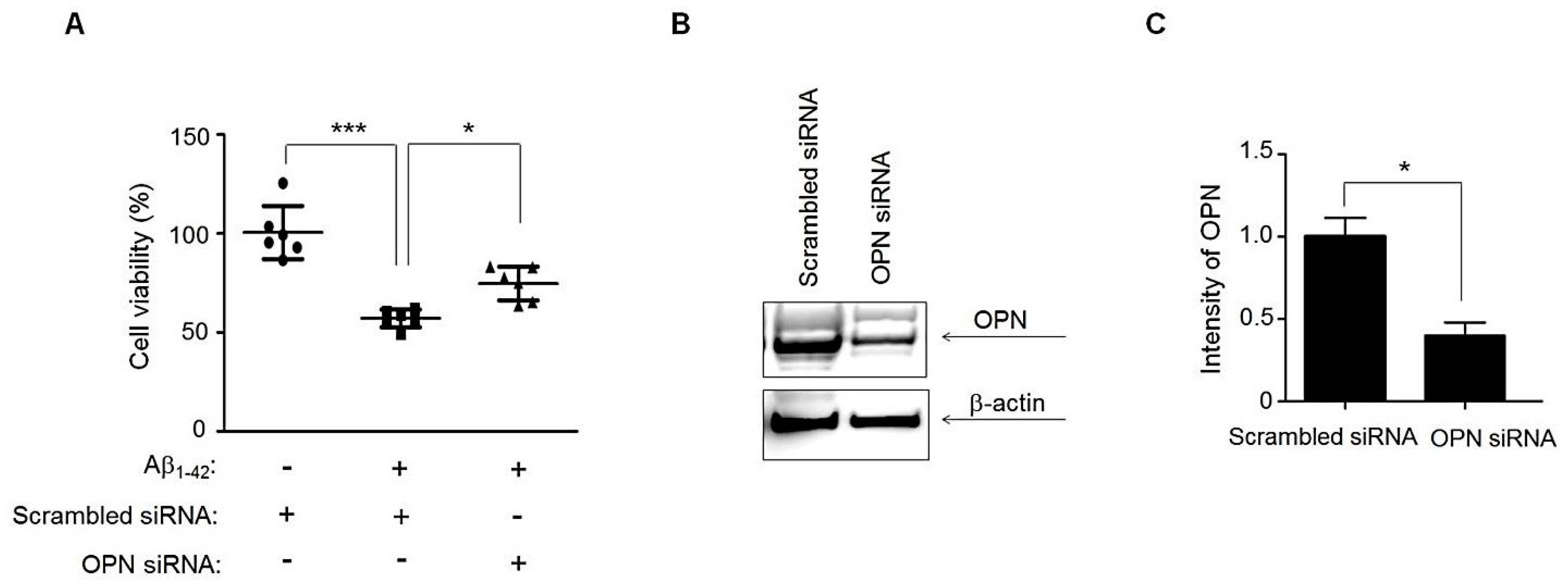 Cells 11 01029 g005 Cells 11 01029 g005