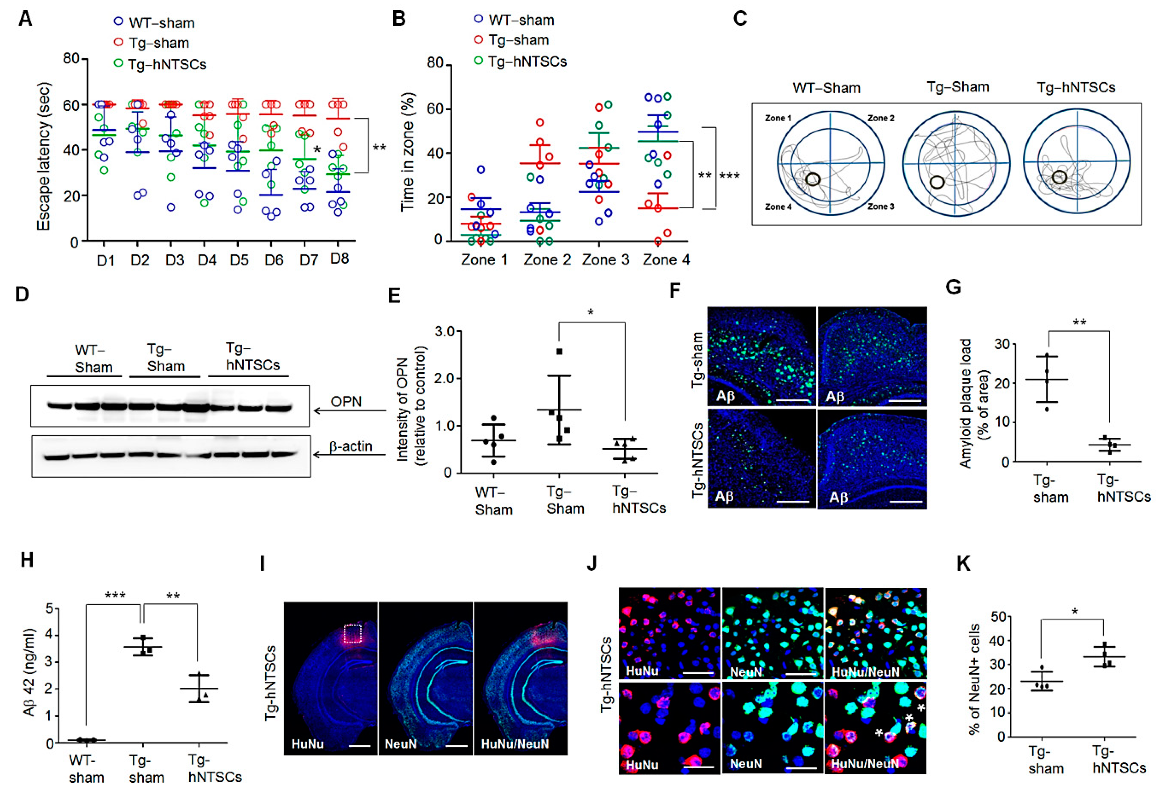 Cells 11 01029 g006 Cells 11 01029 g006