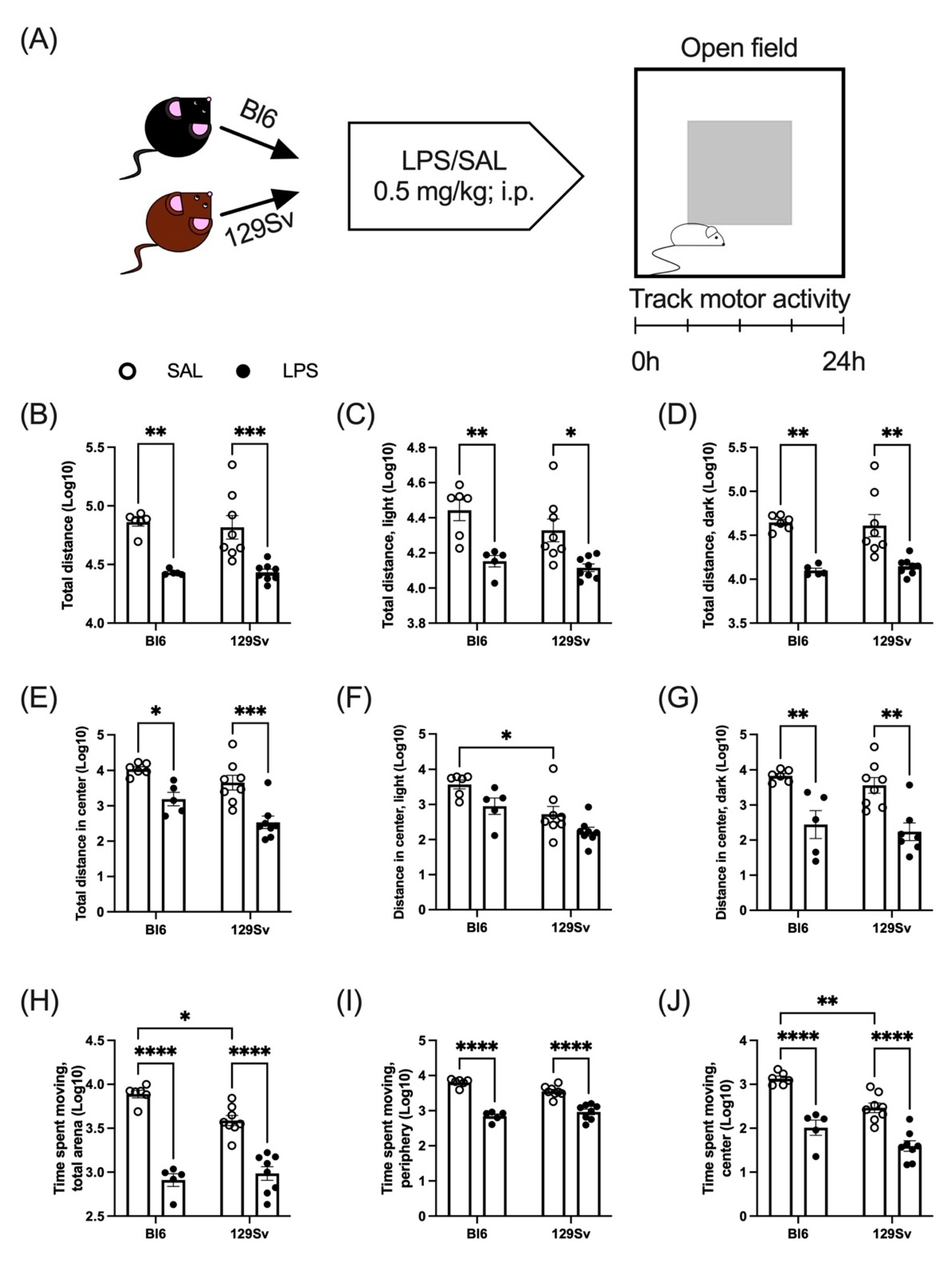 Cells 11 01032 g003 550