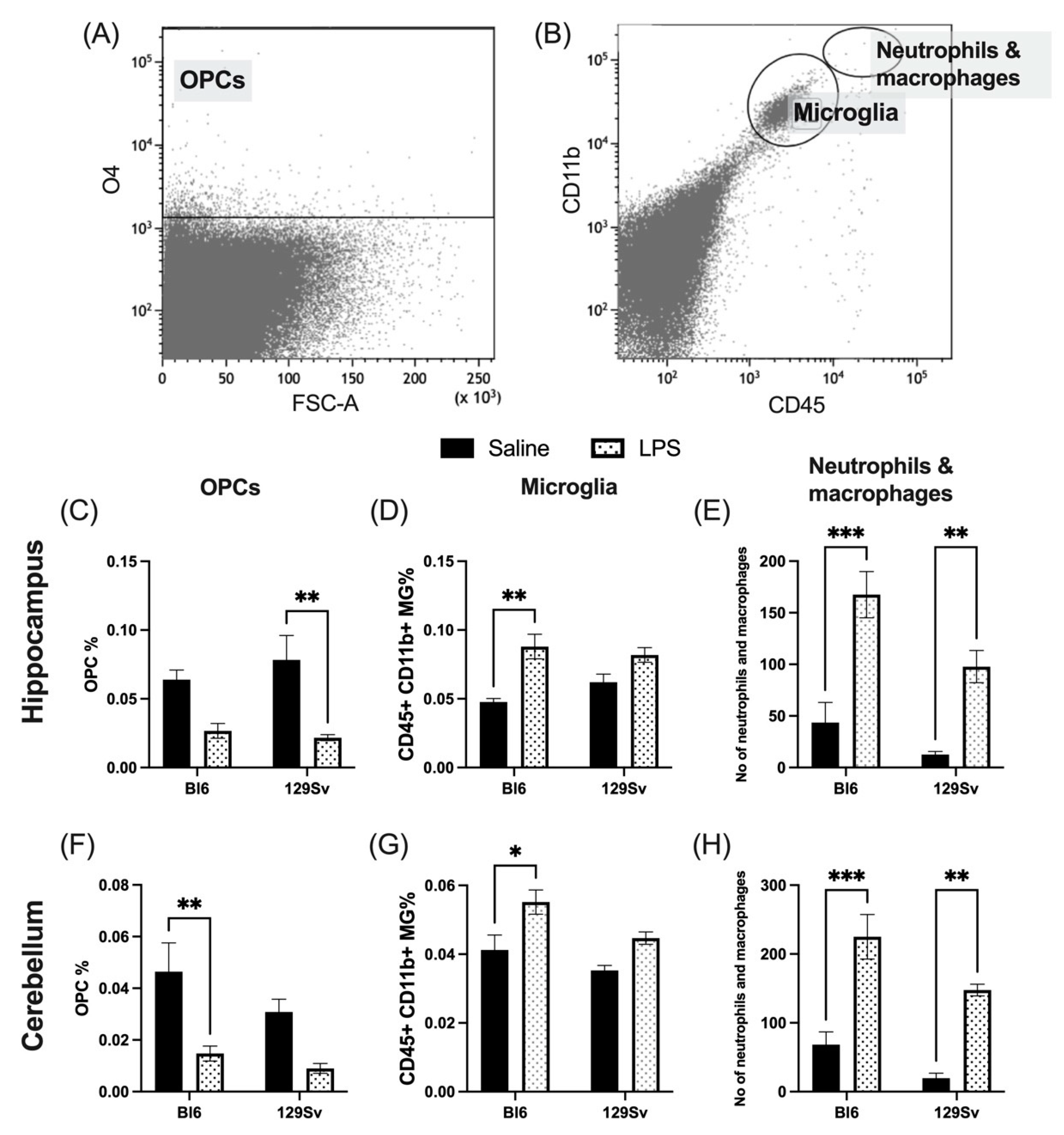 Cells 11 01032 g004 550
