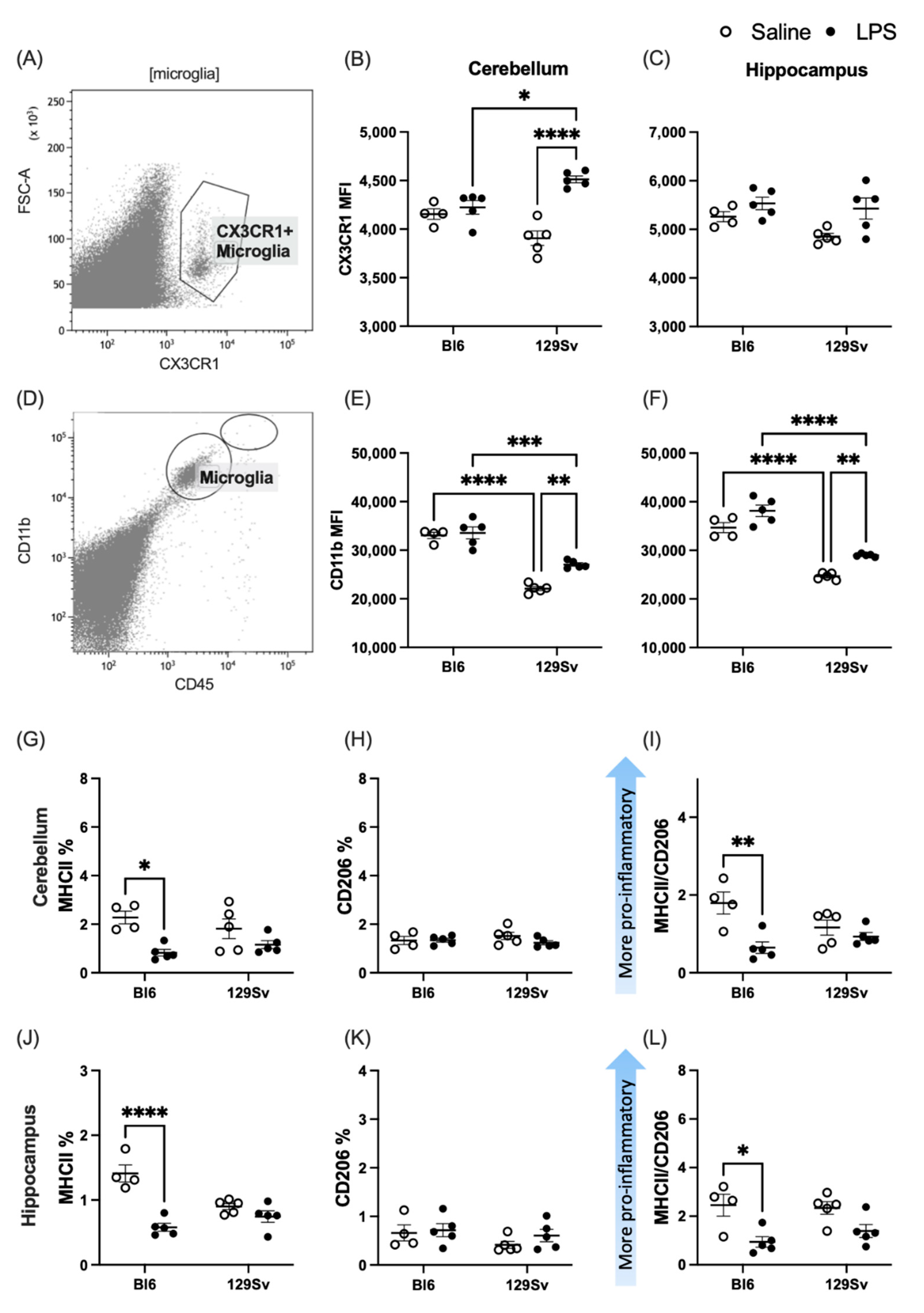 Cells 11 01032 g005 550