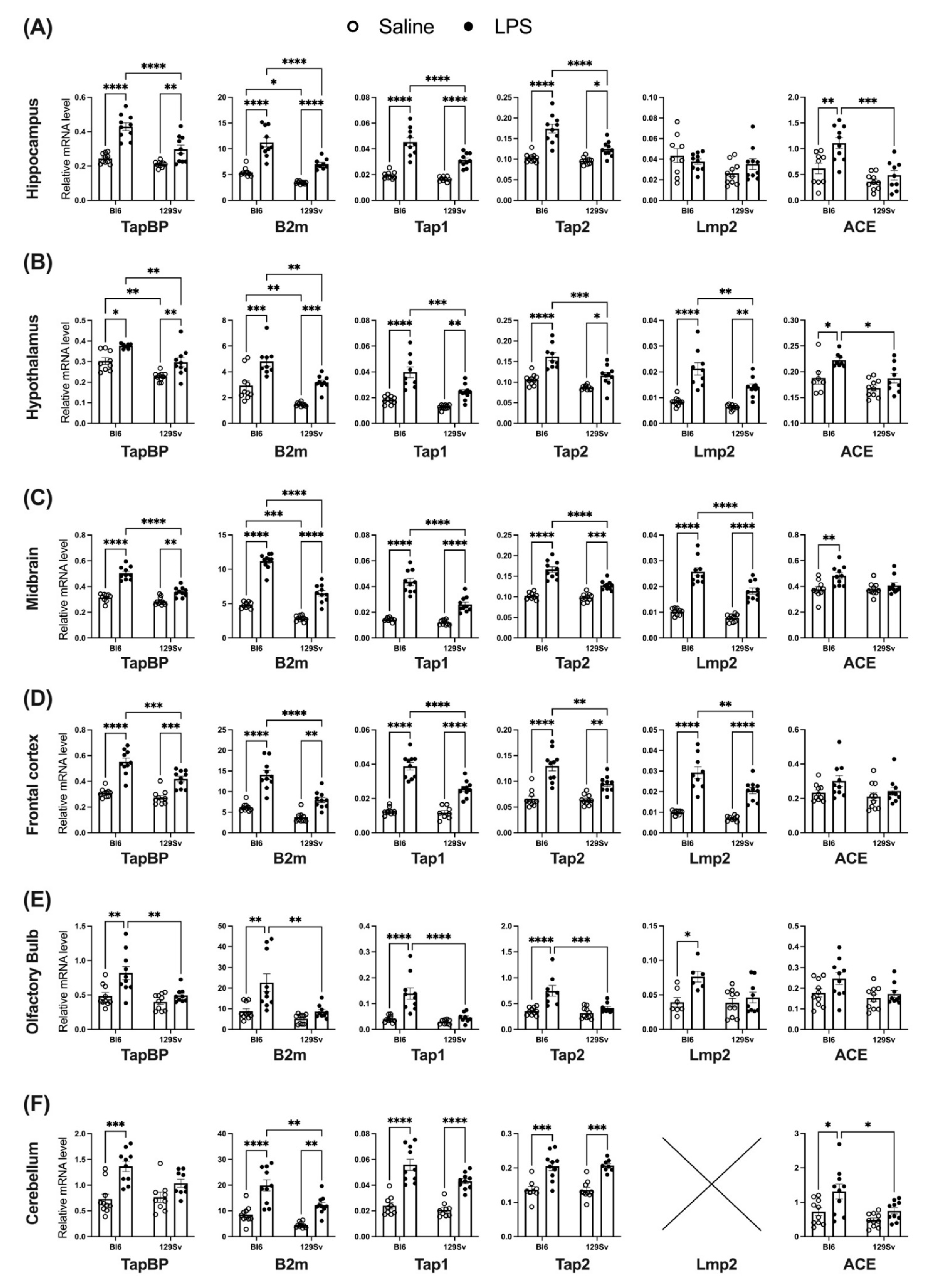 Cells 11 01032 g006 550