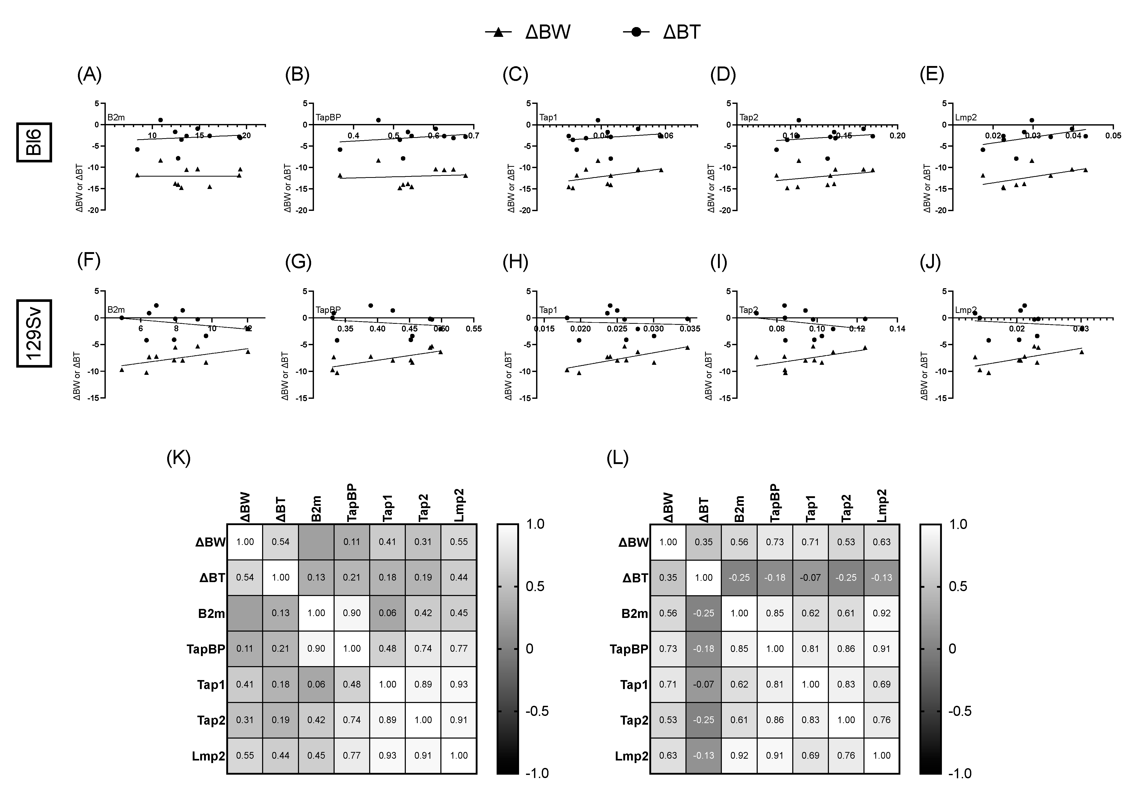 Cells 11 01032 g009 550