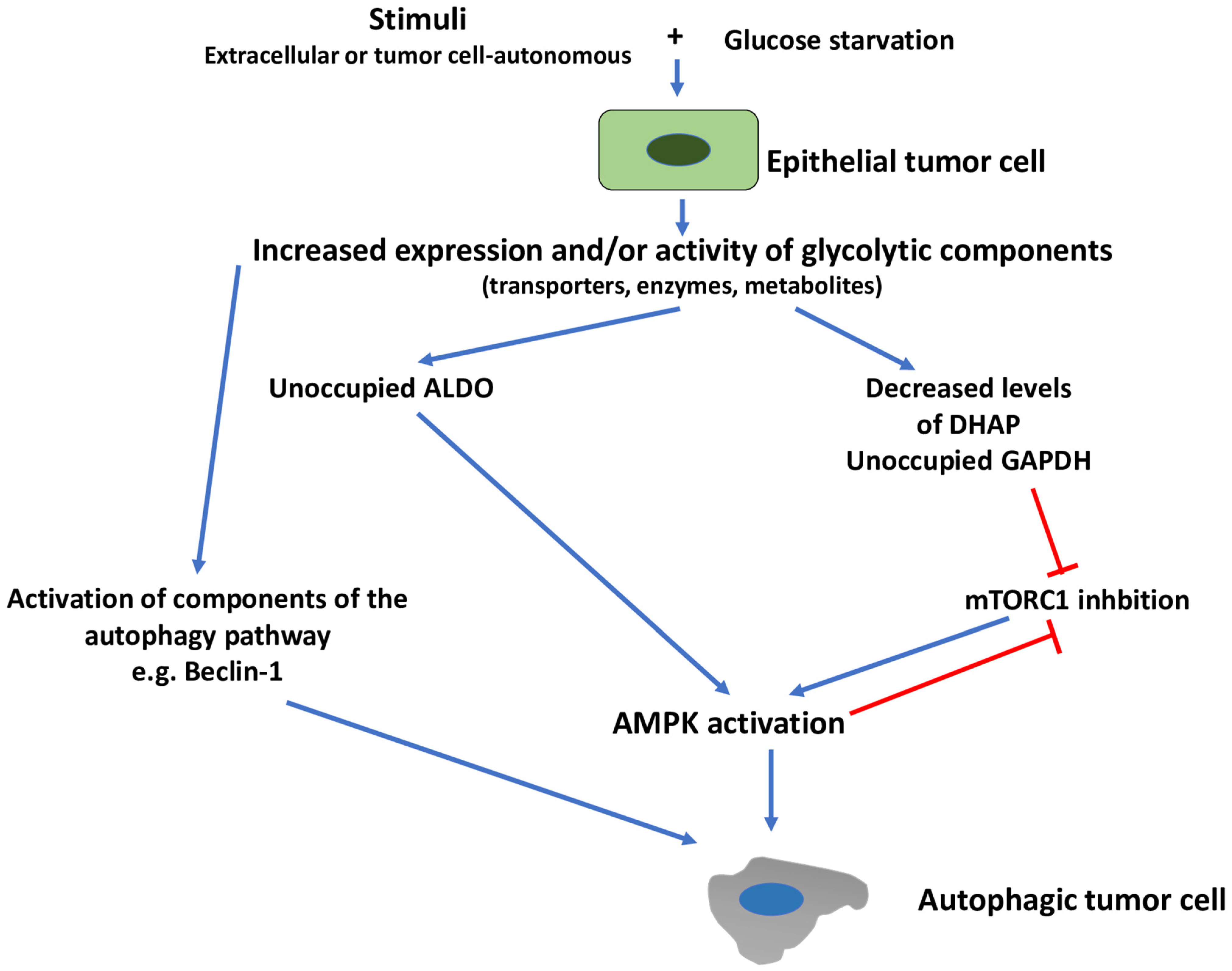 Cells 11 01041 g004 Cells 11 01041 g004