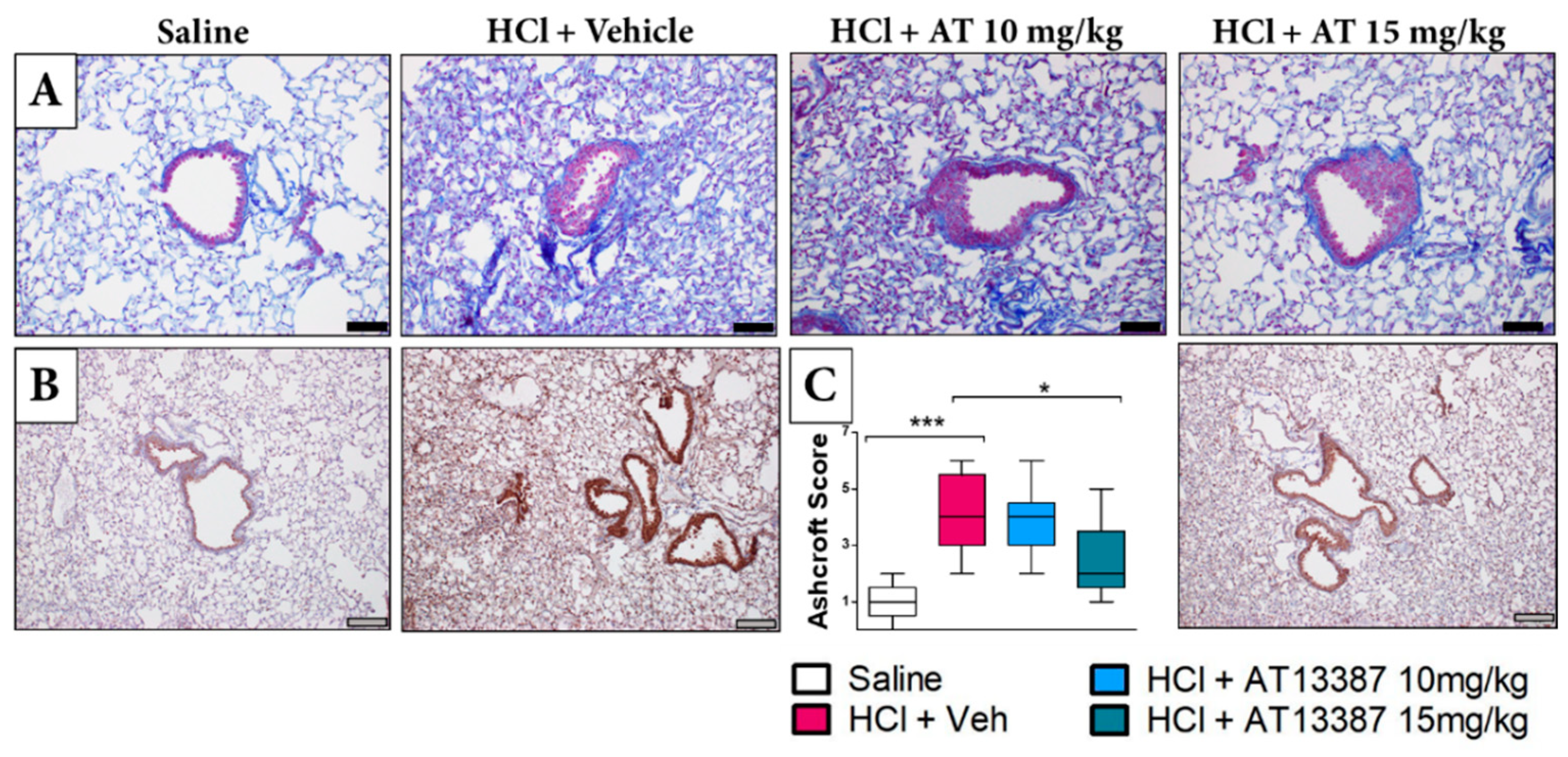 Cells 11 01046 g002 550