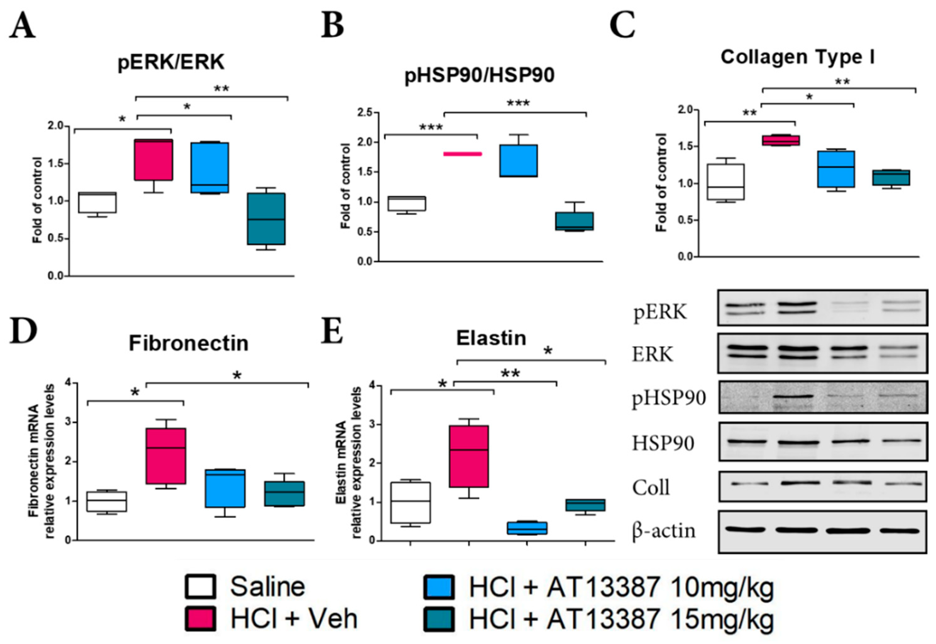 Cells 11 01046 g003 550
