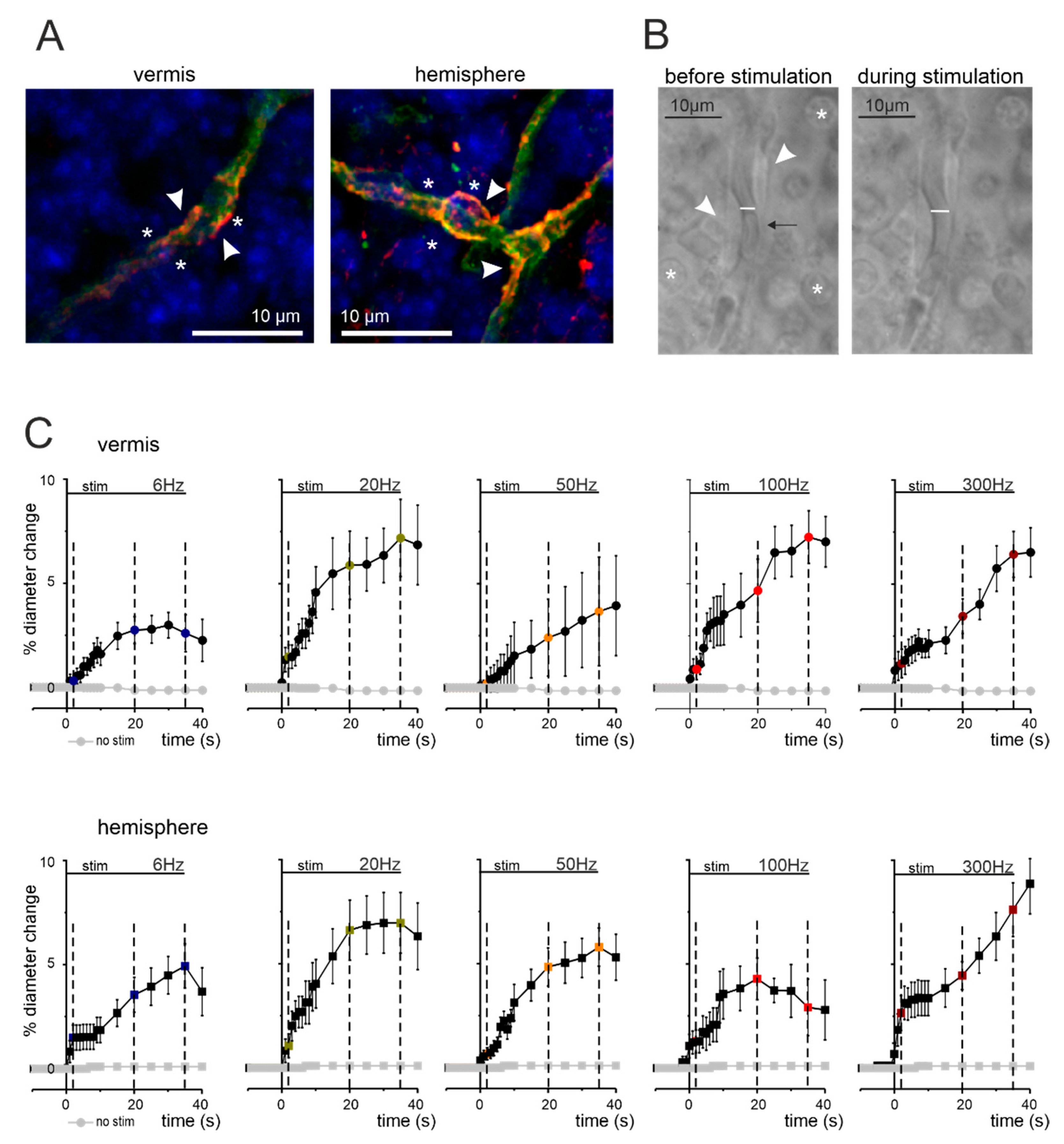 Cells 11 01047 g001
