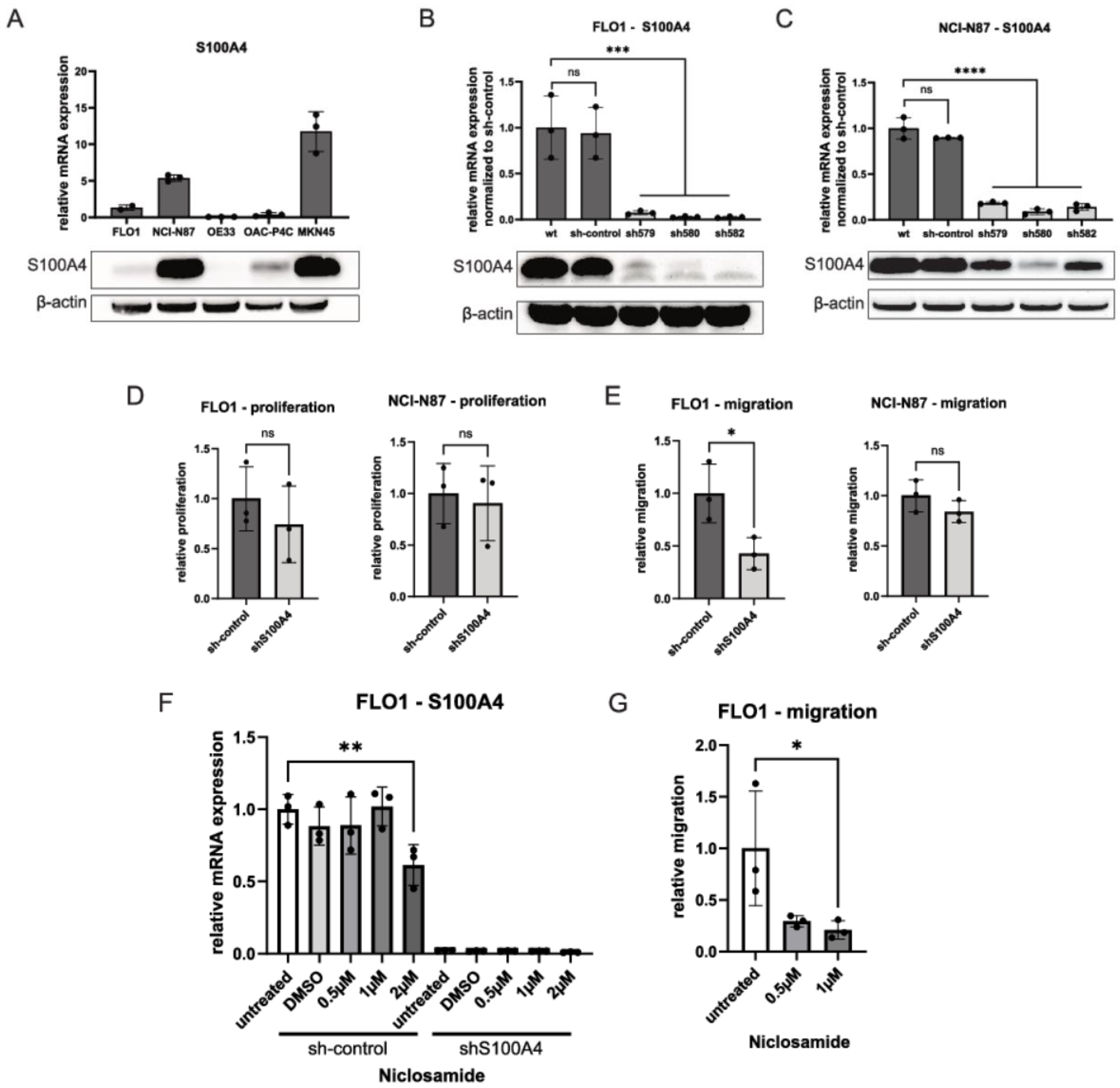 S100A4 Is a Strong Negative Prognostic Marker and Potential
