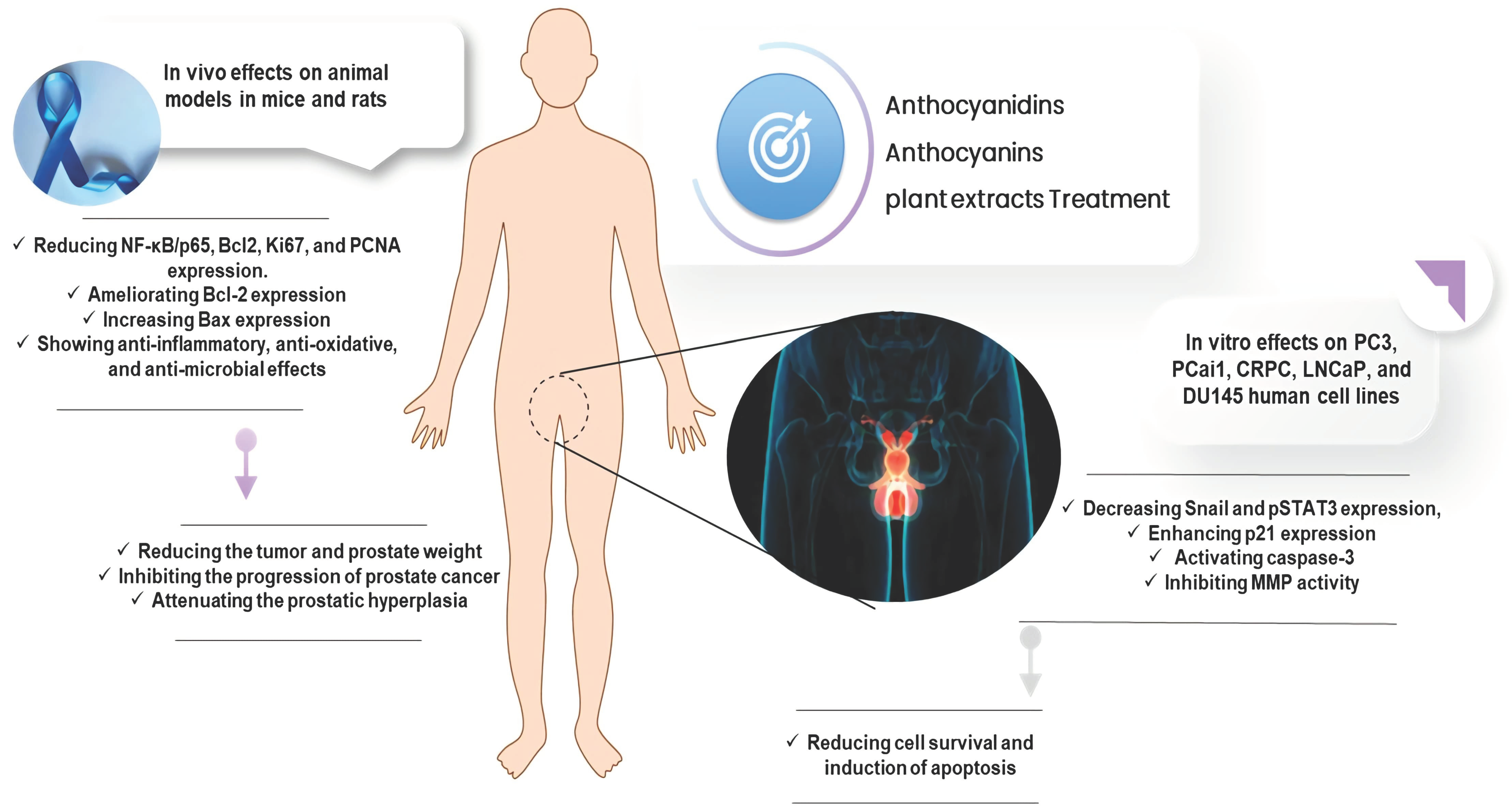 Cells 11 01070 g003 550