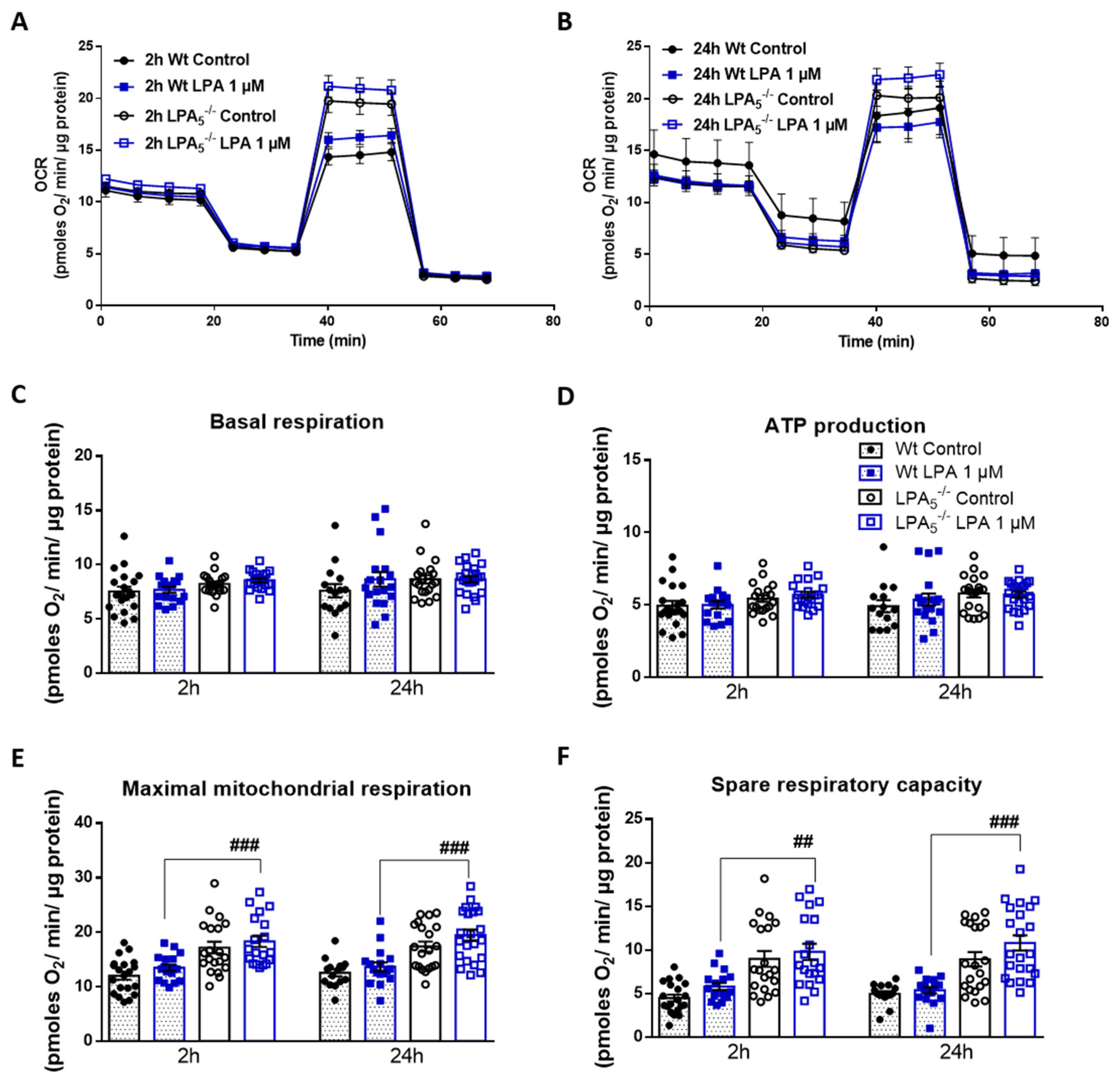 Cells 11 01071 g005 550