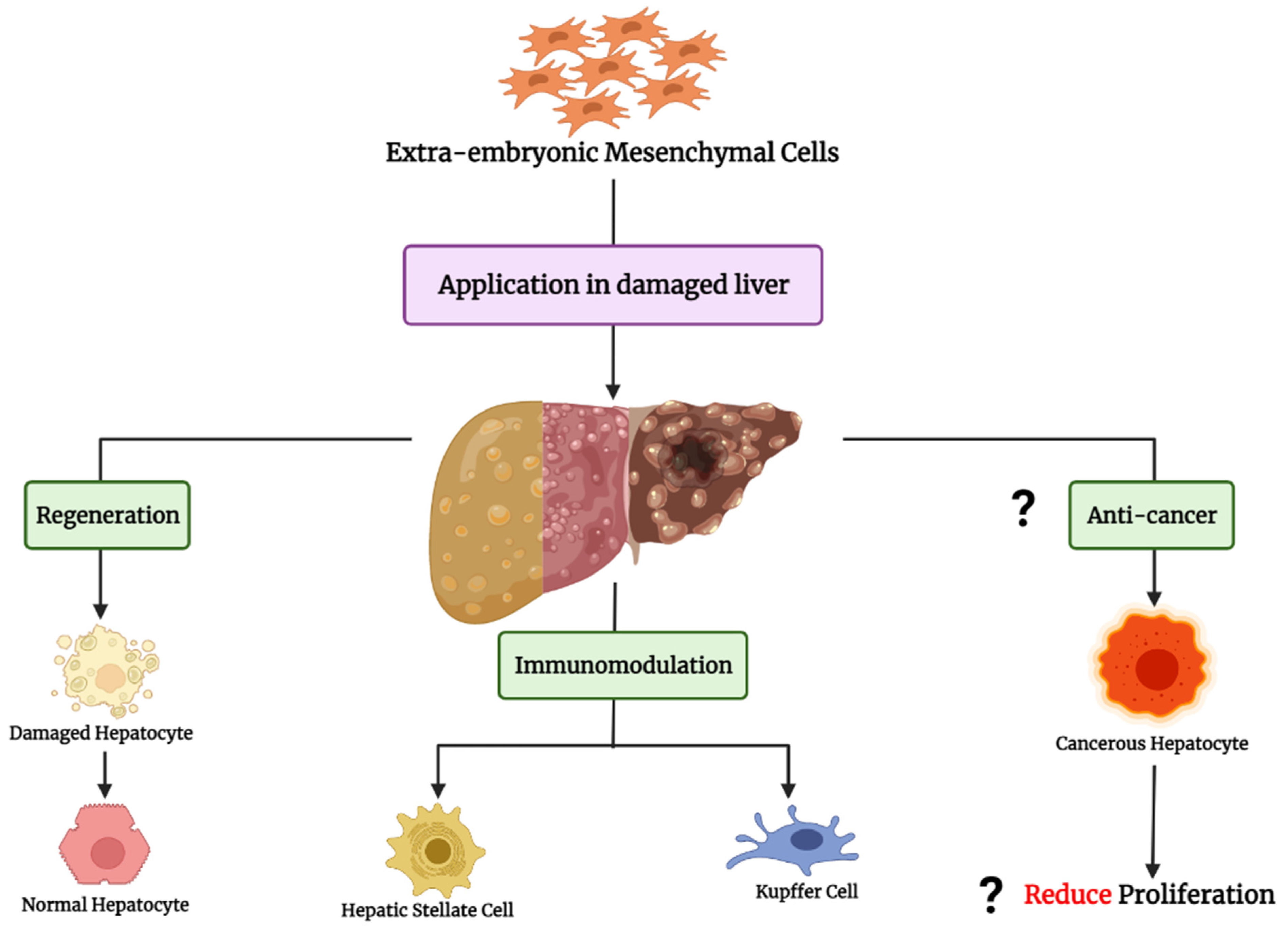 Cells 11 01074 g002 Cells 11 01074 g002