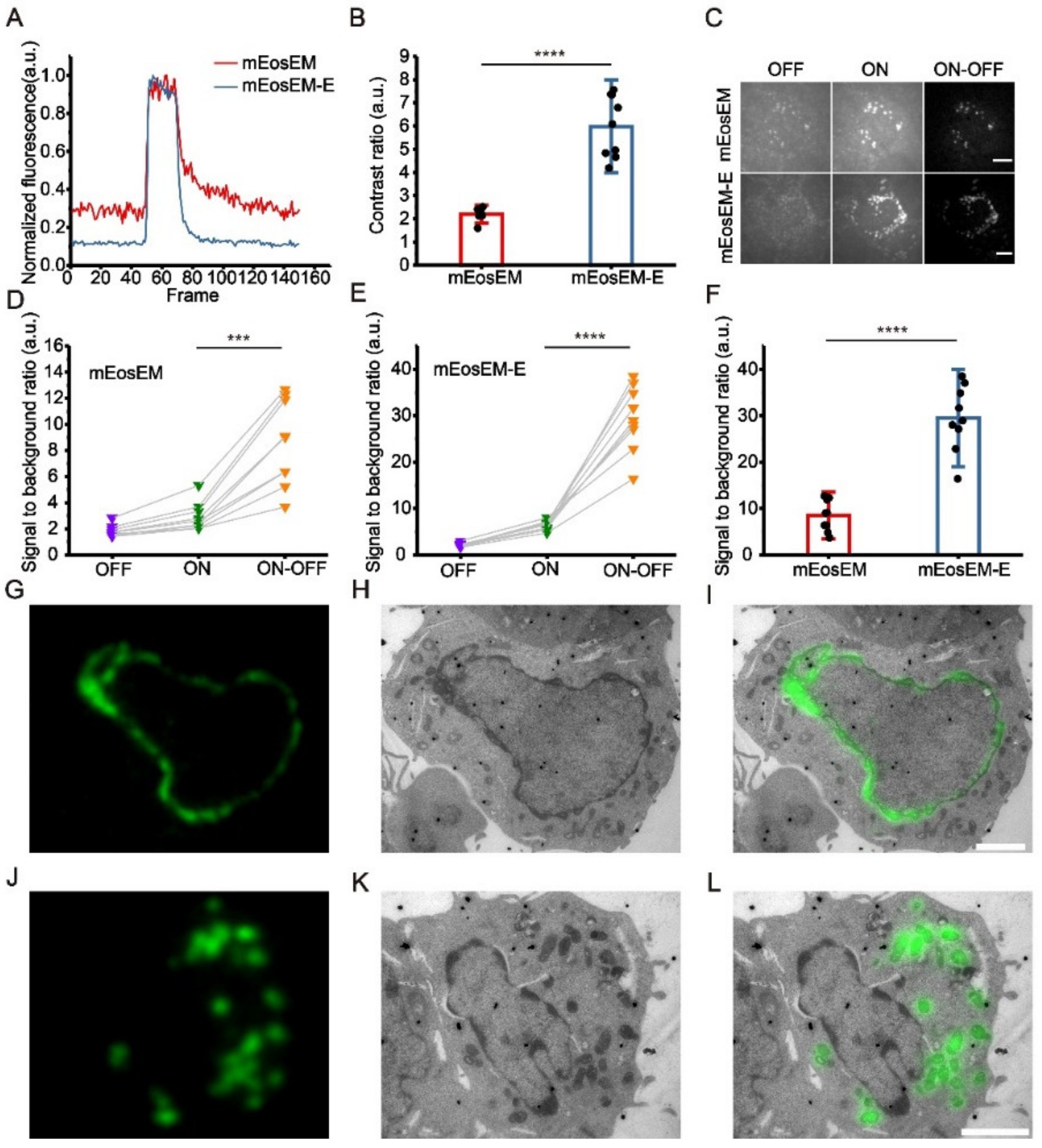Cells 11 01077 g001 550