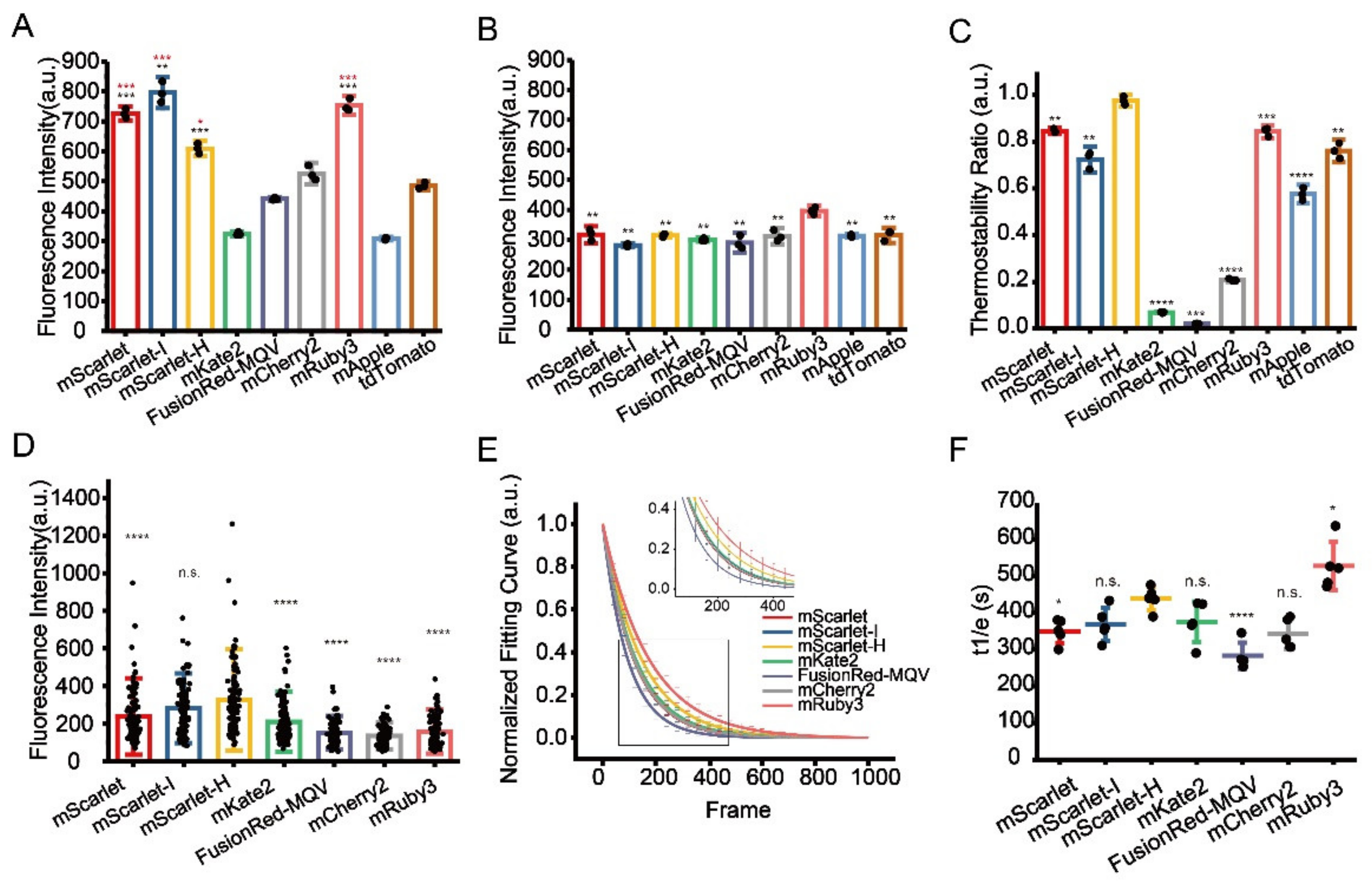 Cells 11 01077 g002 550