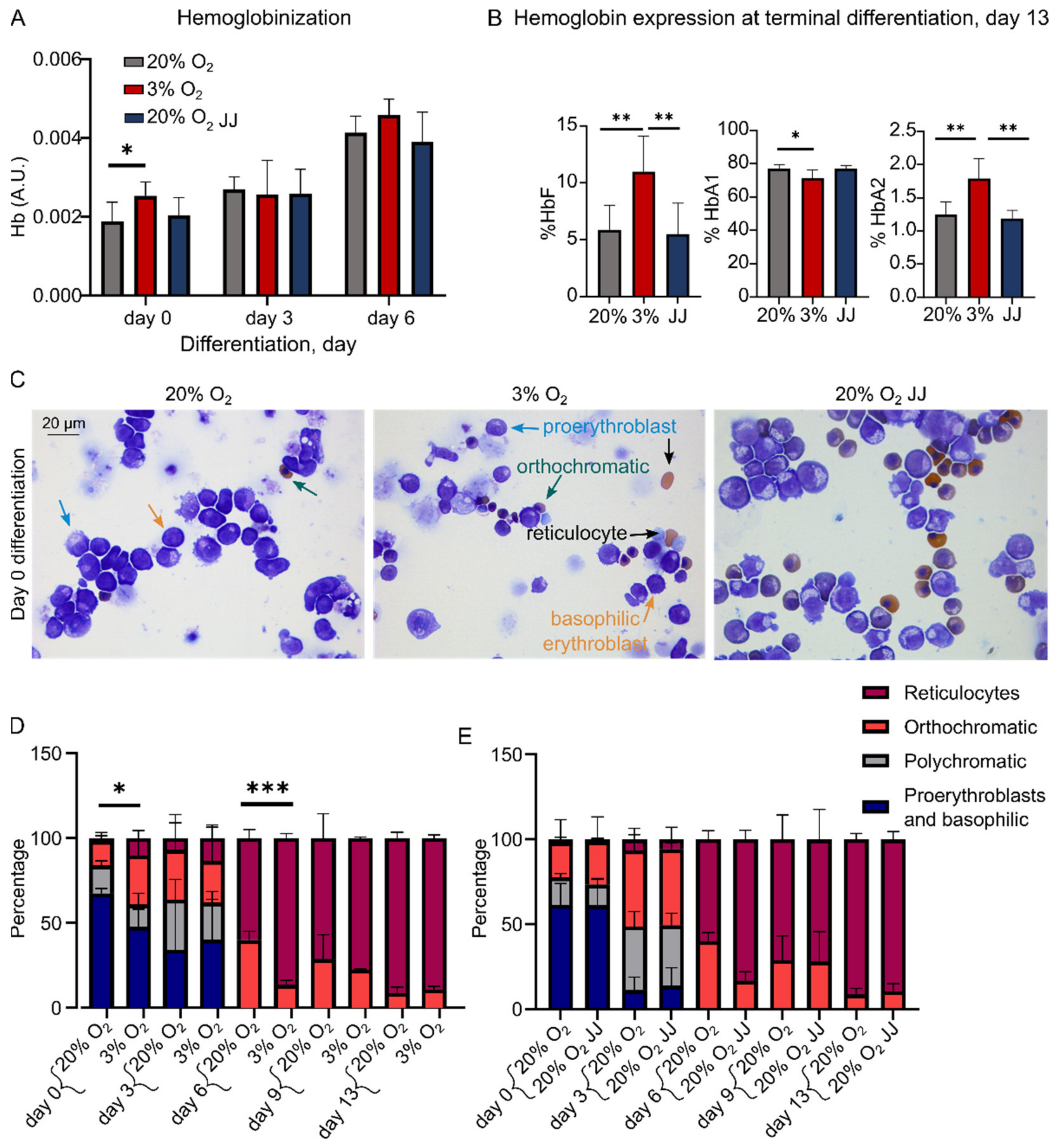 Cells 11 01082 g003 Cells 11 01082 g003
