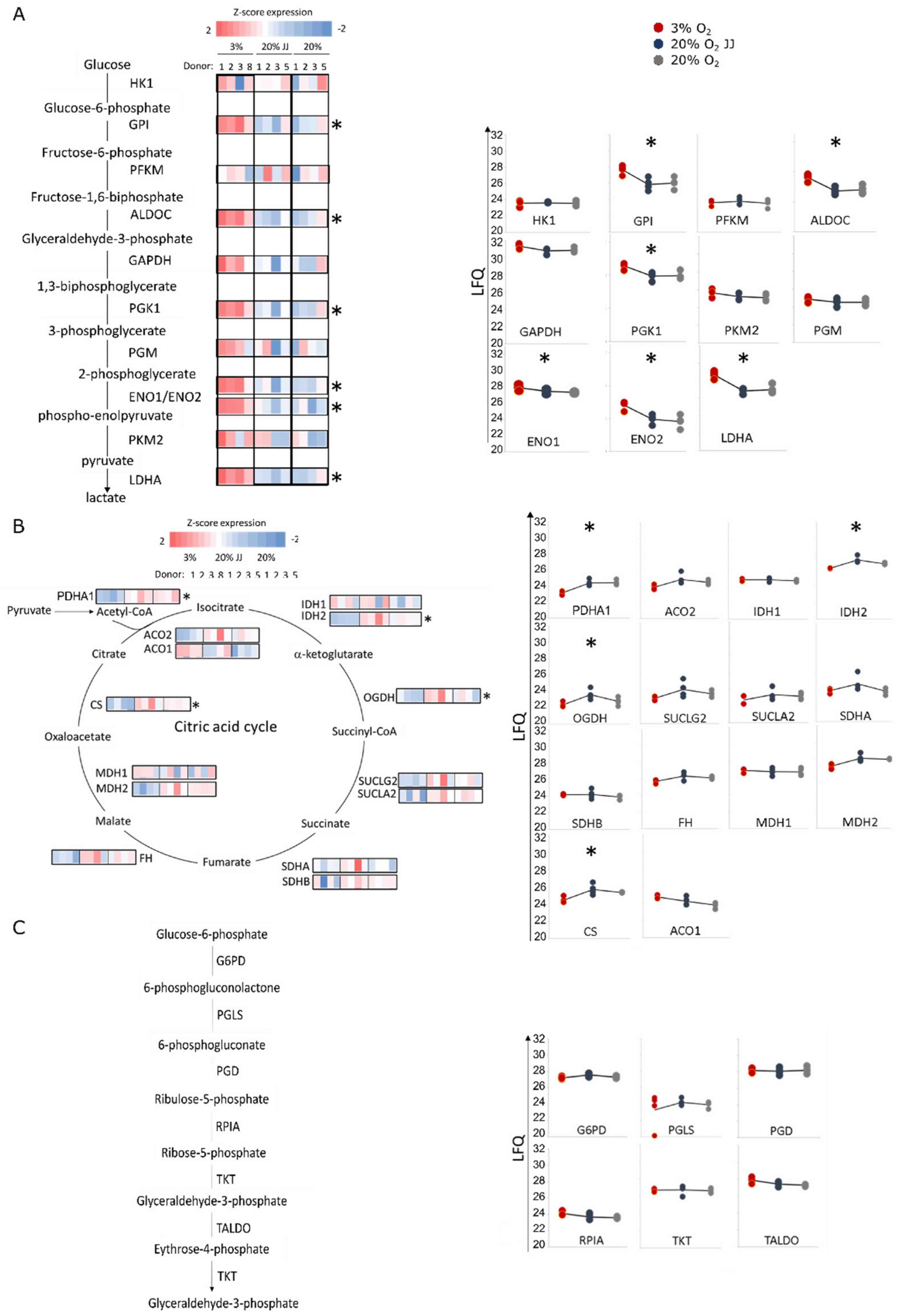 Cells 11 01082 g007 Cells 11 01082 g007