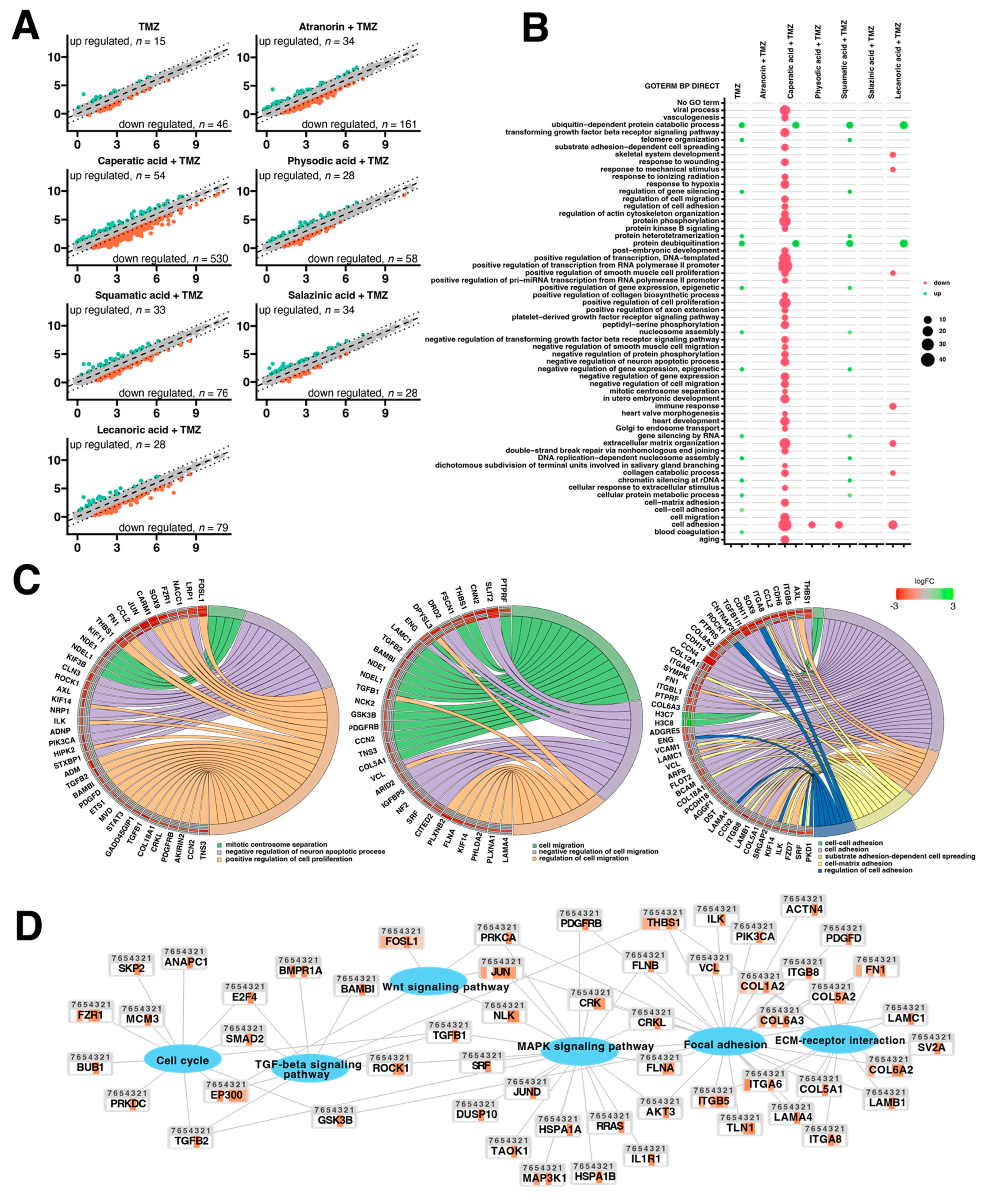 Cells 11 01084 g011 550