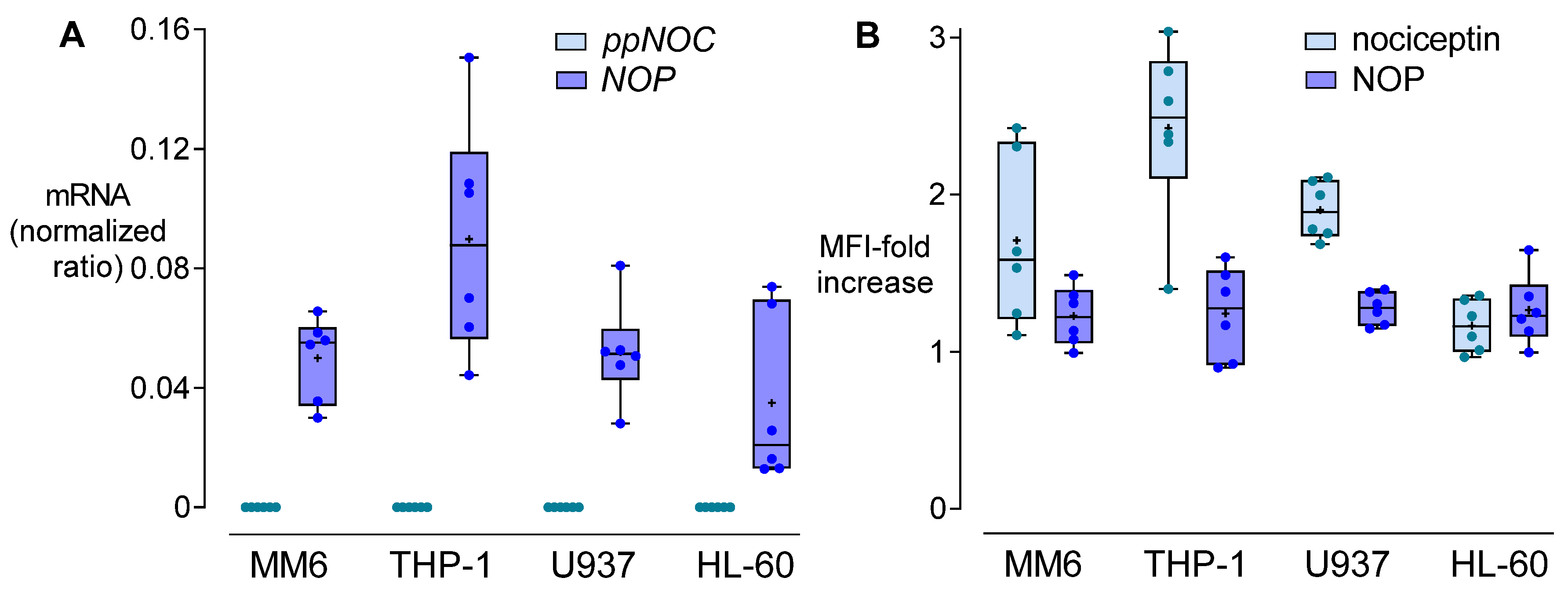 Cells 11 01085 g001 Cells 11 01085 g001